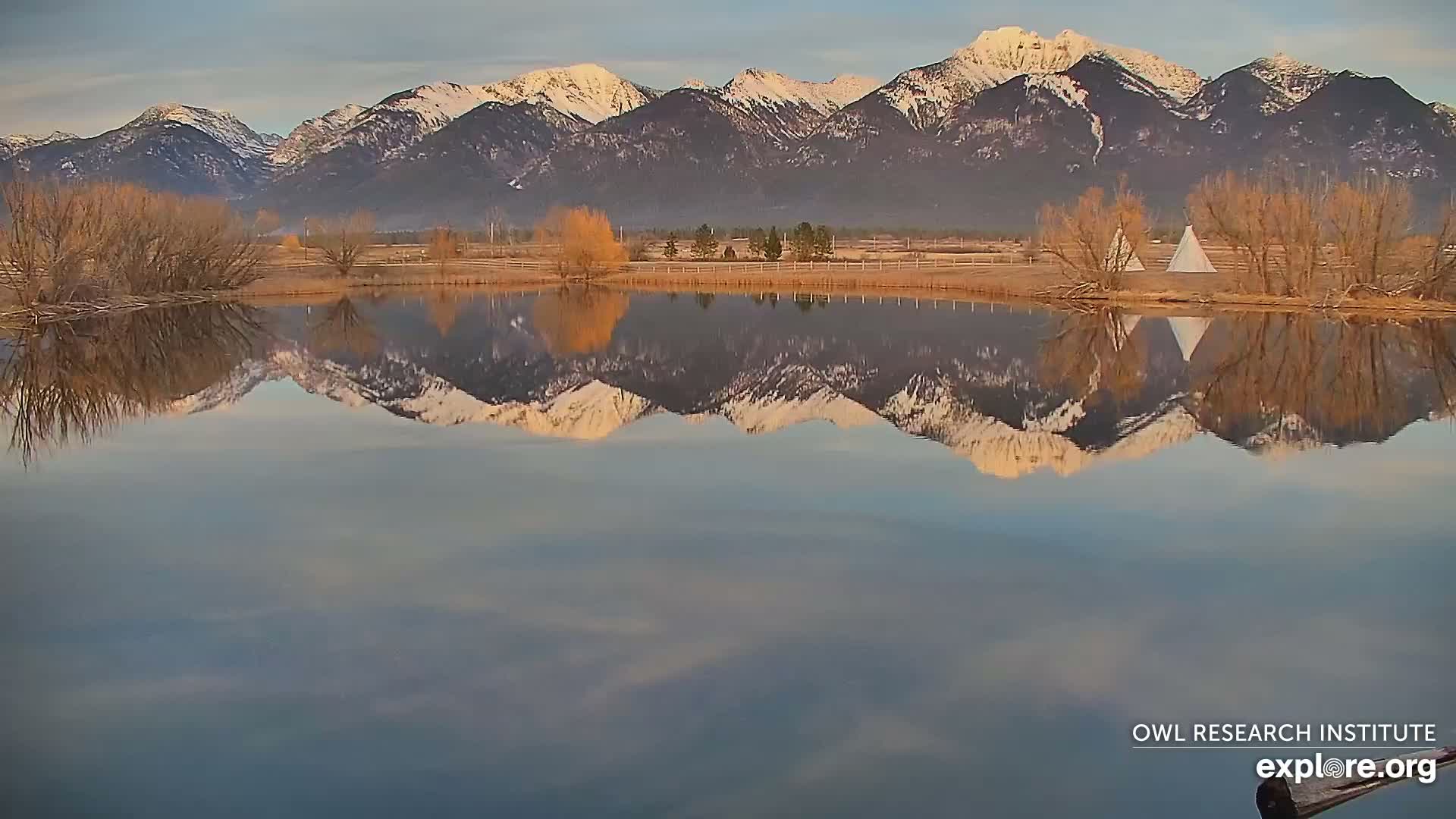 Mission Mountain Range & Mt Calowahcan View from Ninepipe Lodge Wildlife Refuge Live Cam - Charlo, Lake County, Montana, USA
