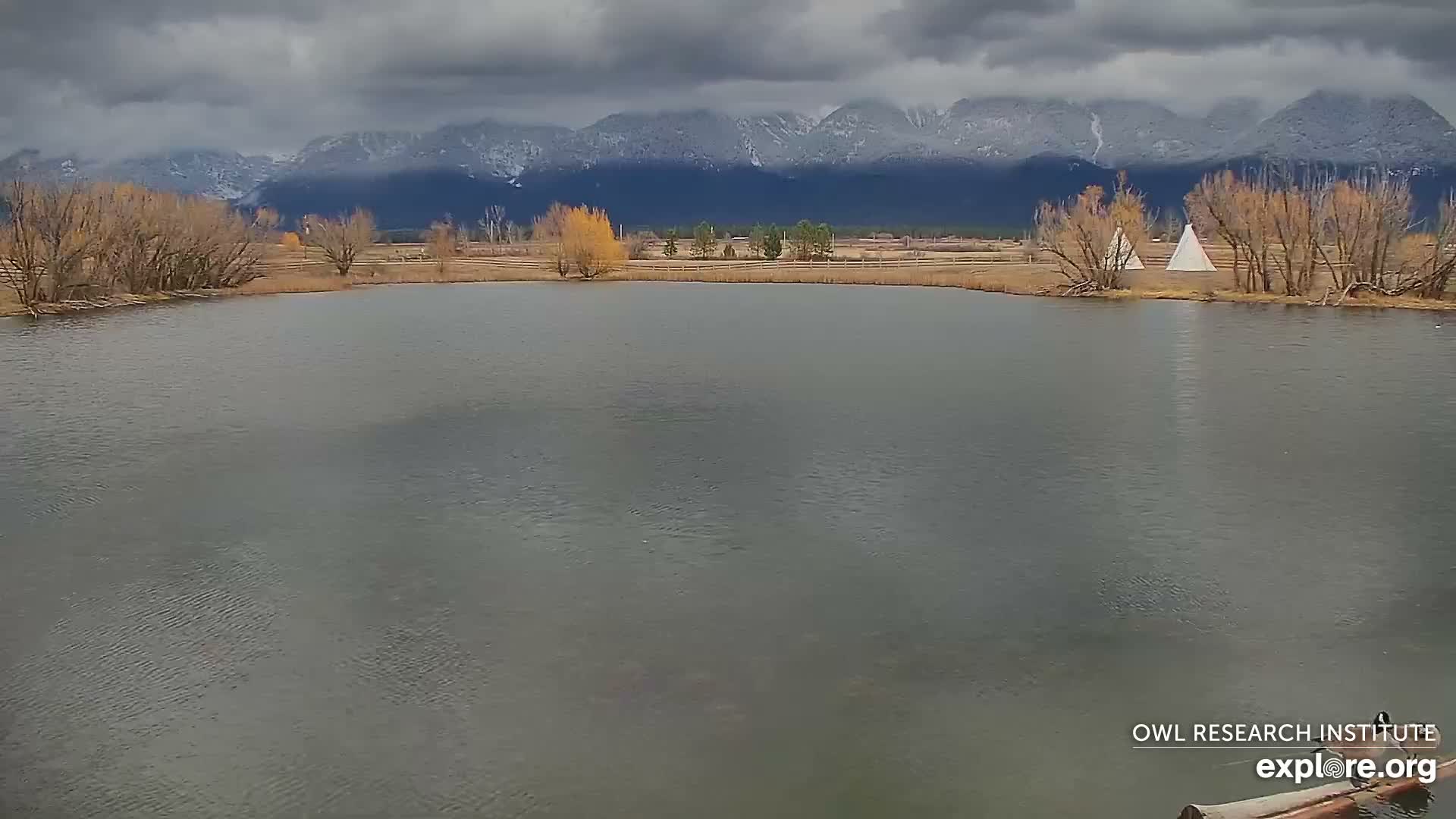 Mission Mountain Range & Mt Calowahcan View from Ninepipe Lodge Wildlife Refuge Live Cam - Charlo, Lake County, Montana, USA