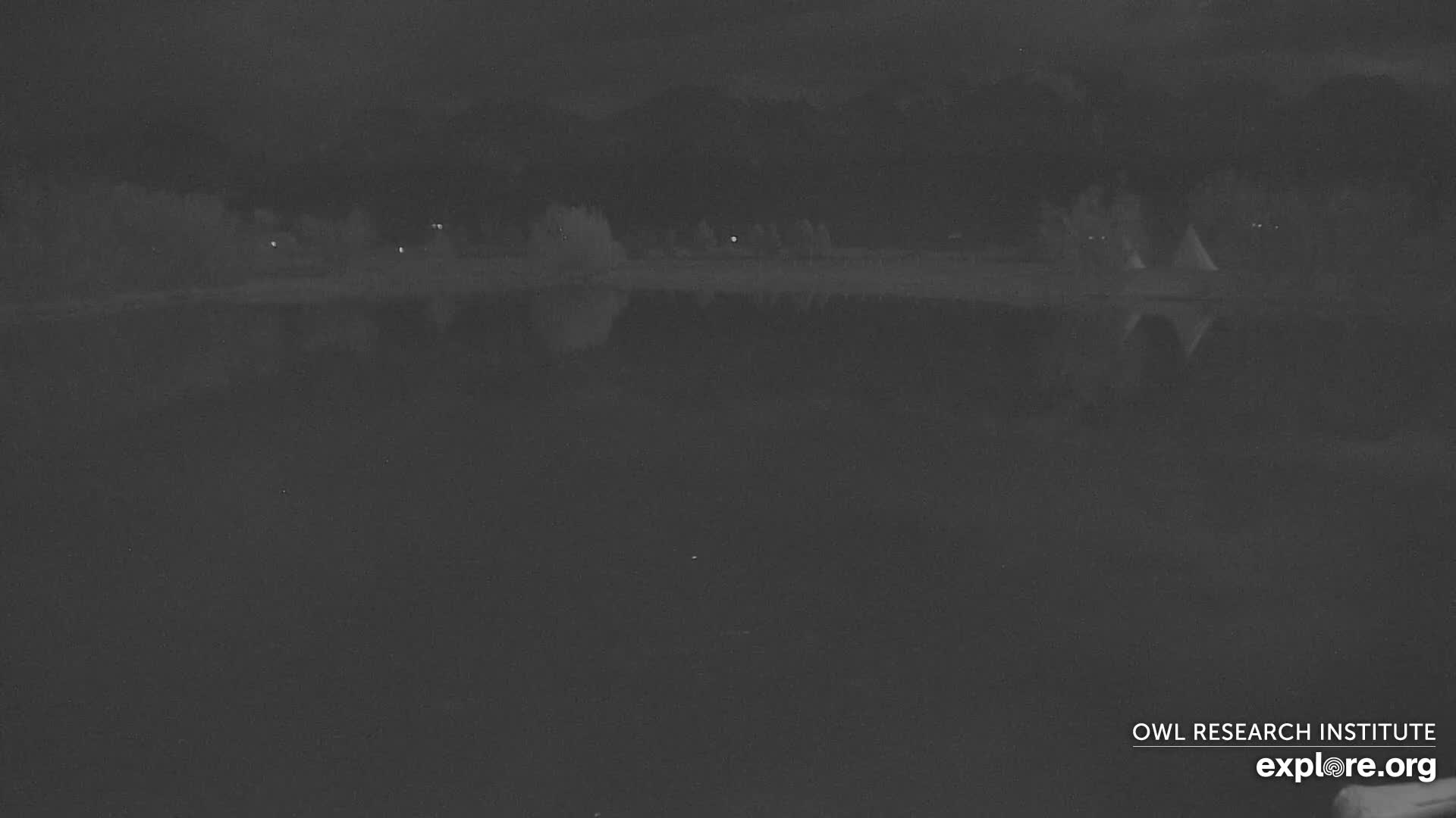 Mission Mountain Range & Mt Calowahcan View from Ninepipe Lodge Wildlife Refuge Live Cam - Charlo, Lake County, Montana, USA