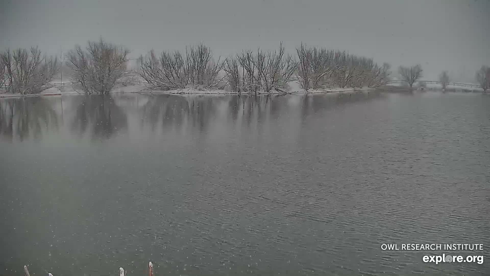 Mission Mountain Range & Mt Calowahcan View from Ninepipe Lodge Wildlife Refuge Live Cam - Charlo, Lake County, Montana, USA