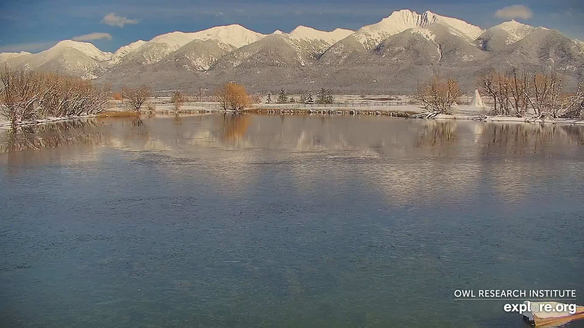 Mission Mountain Range & Mt Calowahcan View from Ninepipe Lodge Wildlife Refuge Live Cam - Charlo, Lake County, Montana, USA