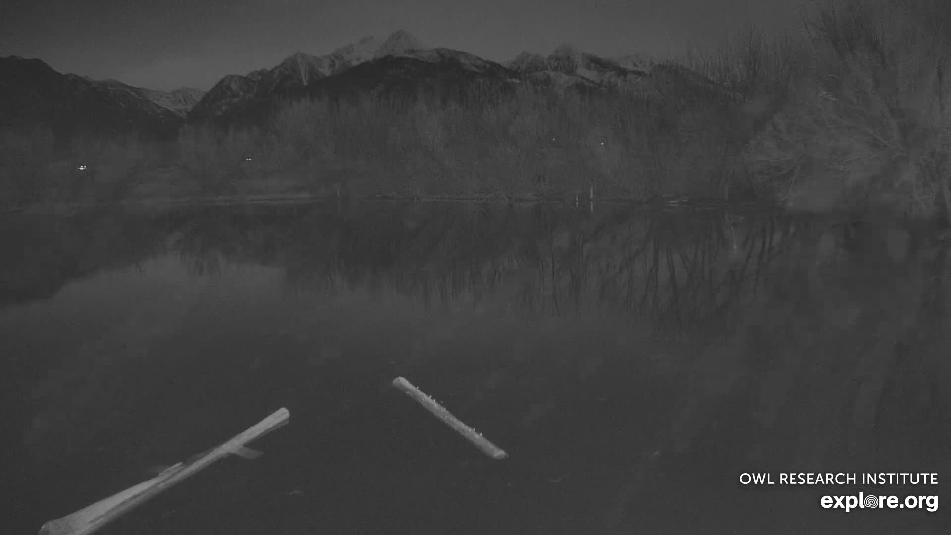 Mission Mountain Range & Mt Calowahcan View from Ninepipe Lodge Wildlife Refuge Live Cam - Charlo, Lake County, Montana, USA