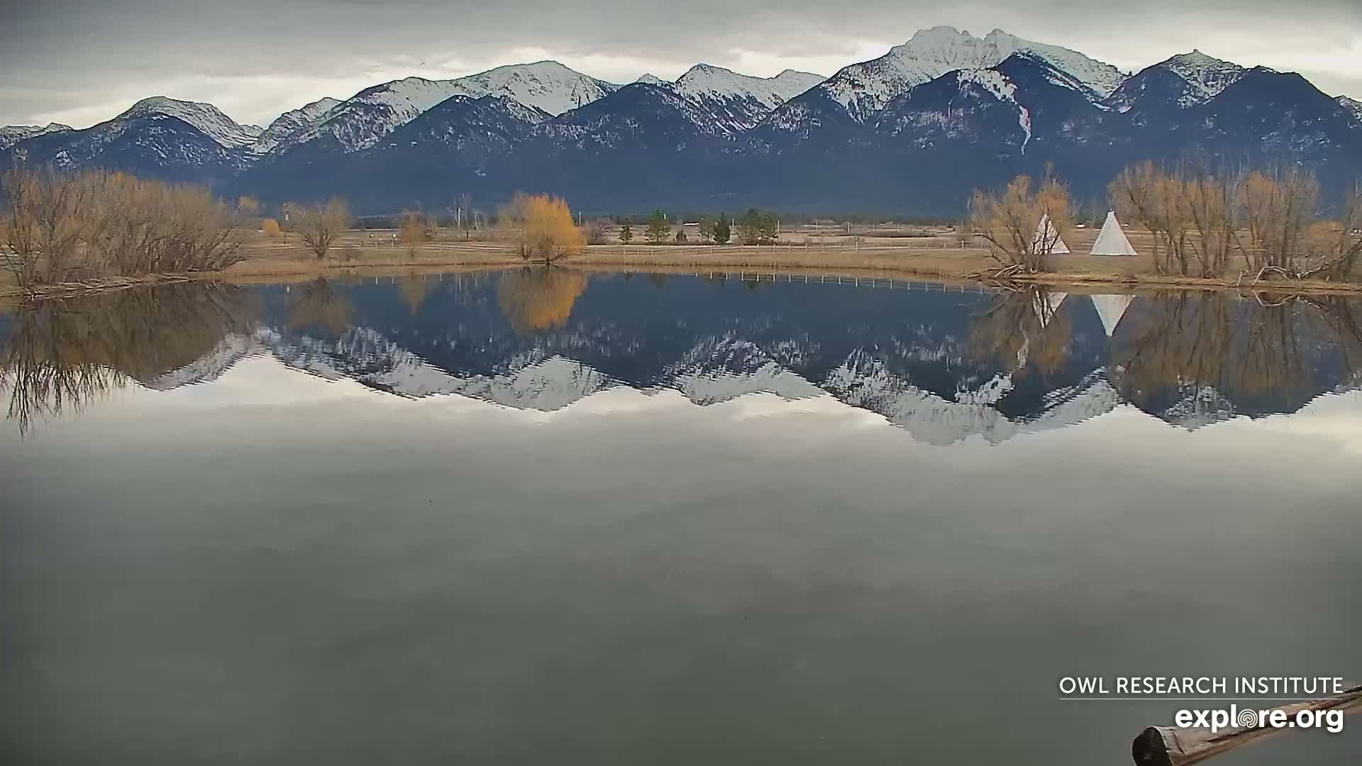 Mission Mountain Range & Mt Calowahcan View from Ninepipe Lodge Wildlife Refuge Live Cam - Charlo, Lake County, Montana, USA
