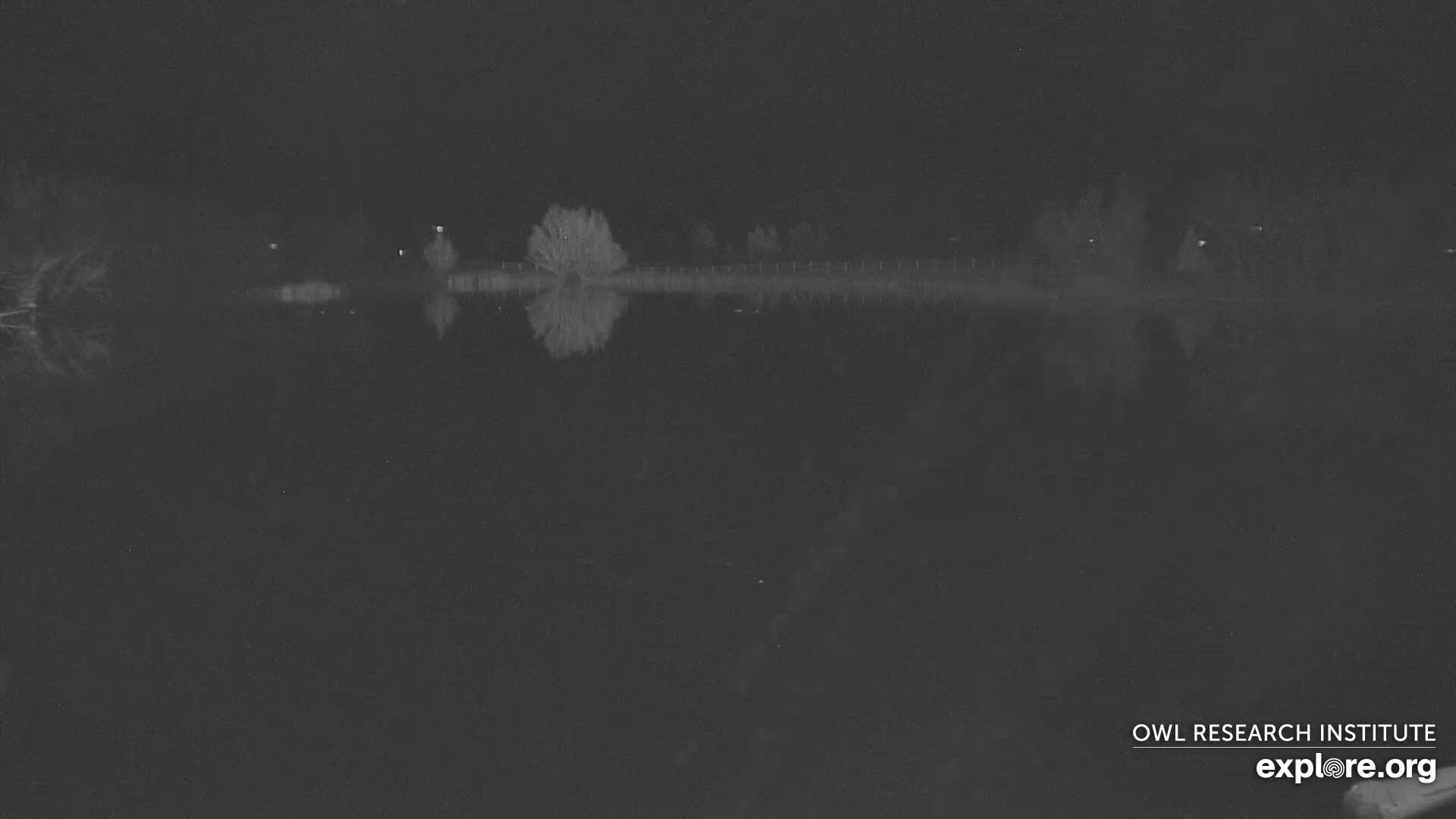 Mission Mountain Range & Mt Calowahcan View from Ninepipe Lodge Wildlife Refuge Live Cam - Charlo, Lake County, Montana, USA