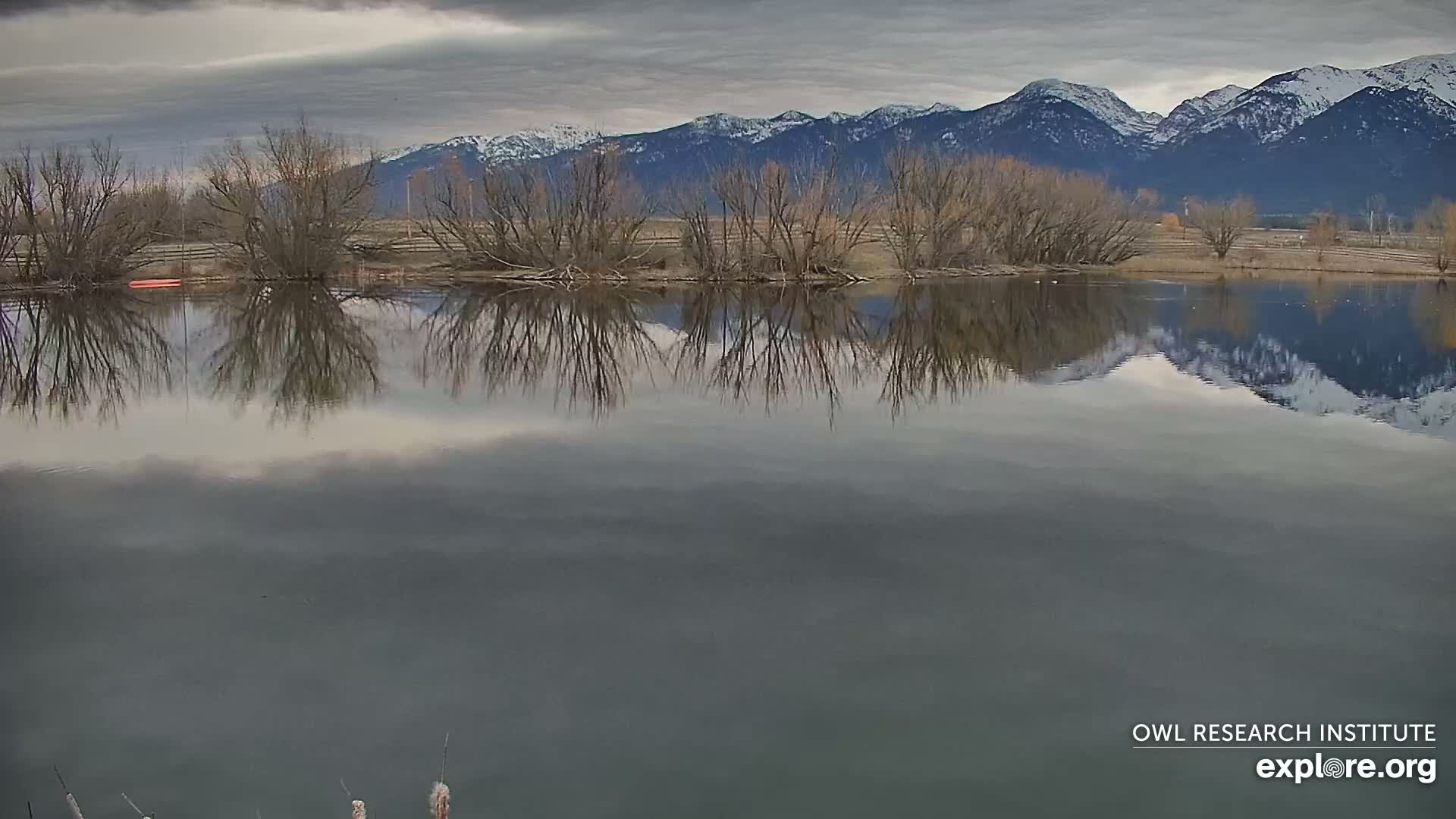 Mission Mountain Range & Mt Calowahcan View from Ninepipe Lodge Wildlife Refuge Live Cam - Charlo, Lake County, Montana, USA