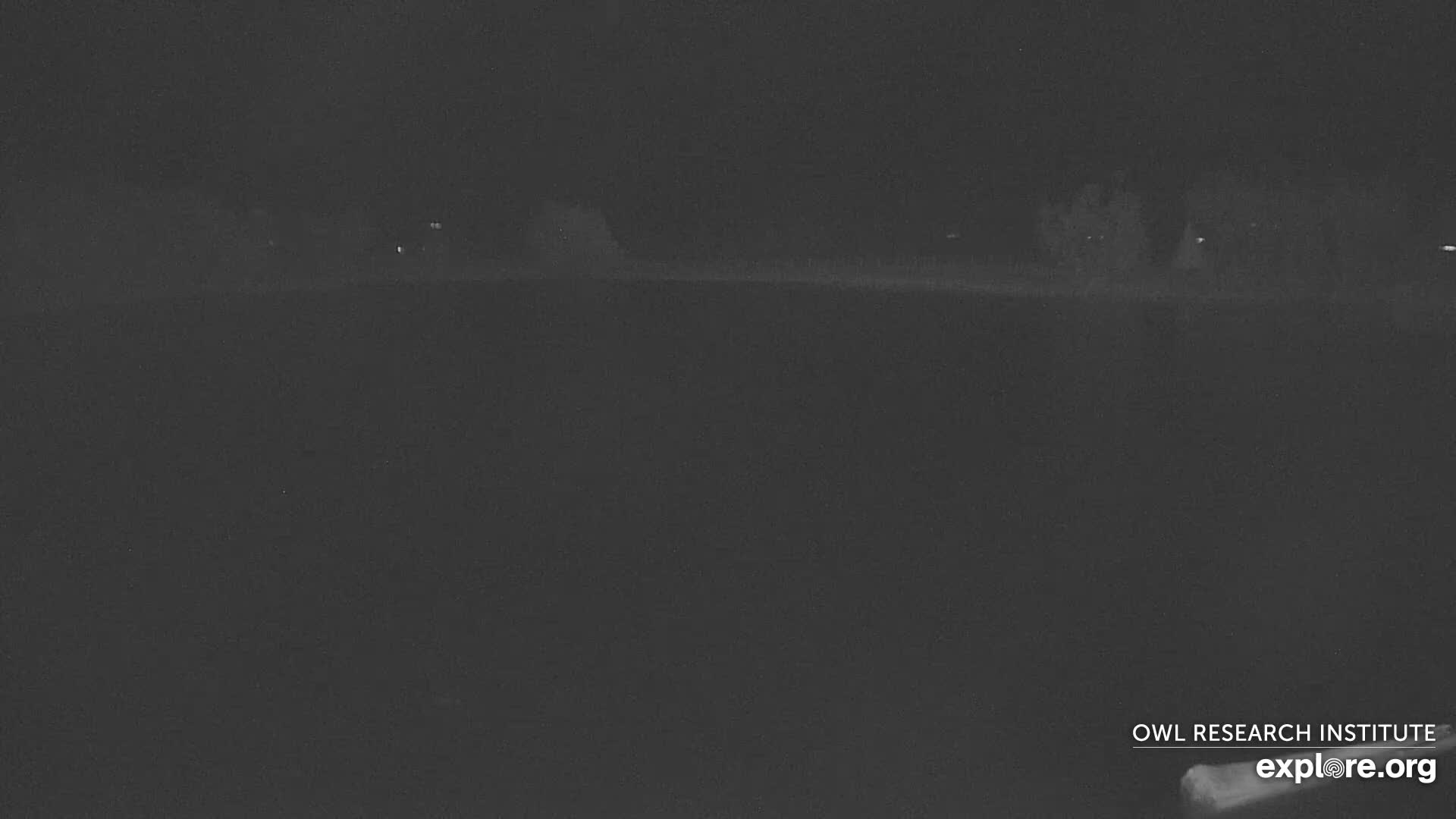 Mission Mountain Range & Mt Calowahcan View from Ninepipe Lodge Wildlife Refuge Live Cam - Charlo, Lake County, Montana, USA