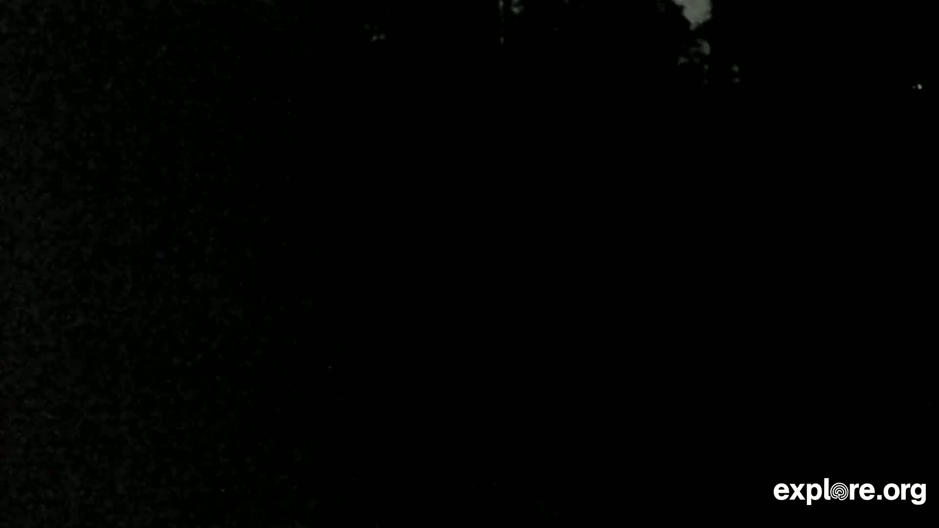 A mostly dark image shows a few faint white specks in the upper right corner against a dark background.