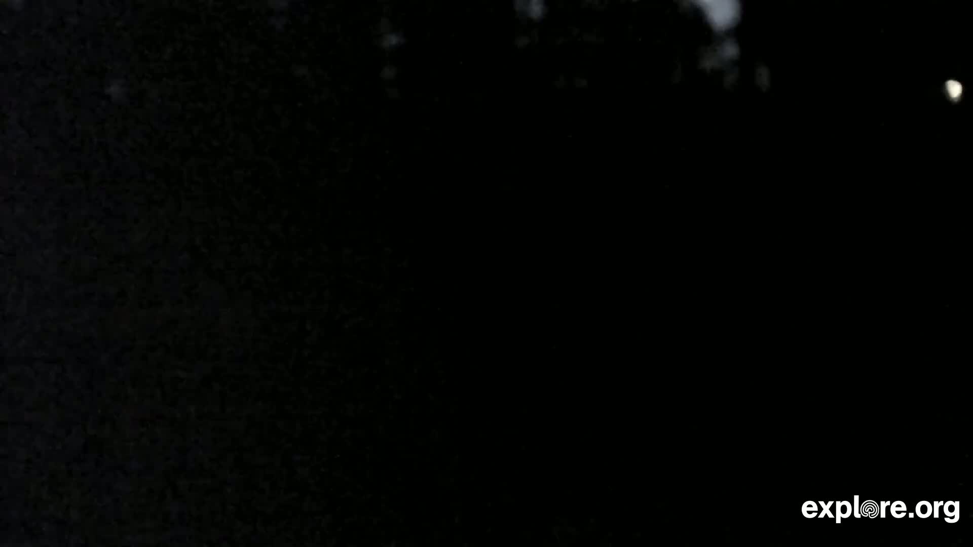A mostly dark image shows a blurry, indistinct nighttime scene with faint light sources visible in the upper right corner.