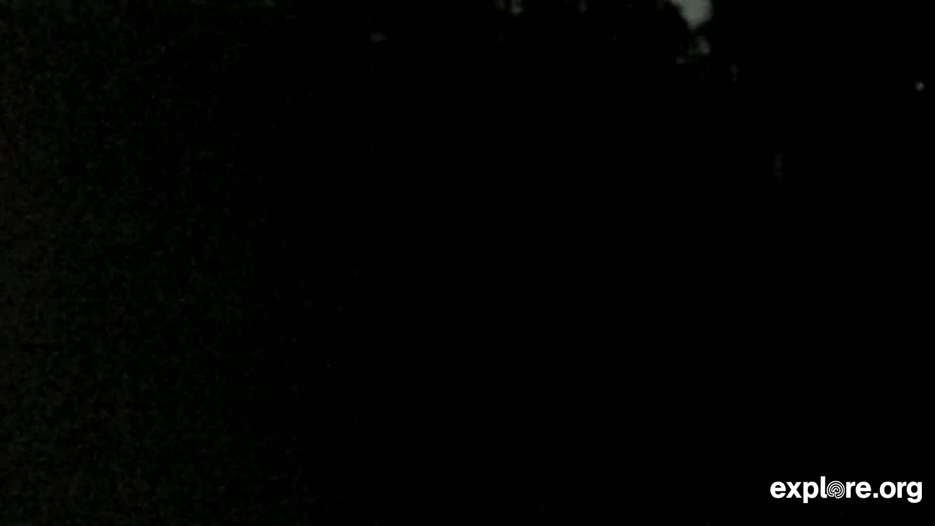 The image is mostly black with a few faint, light gray specks.