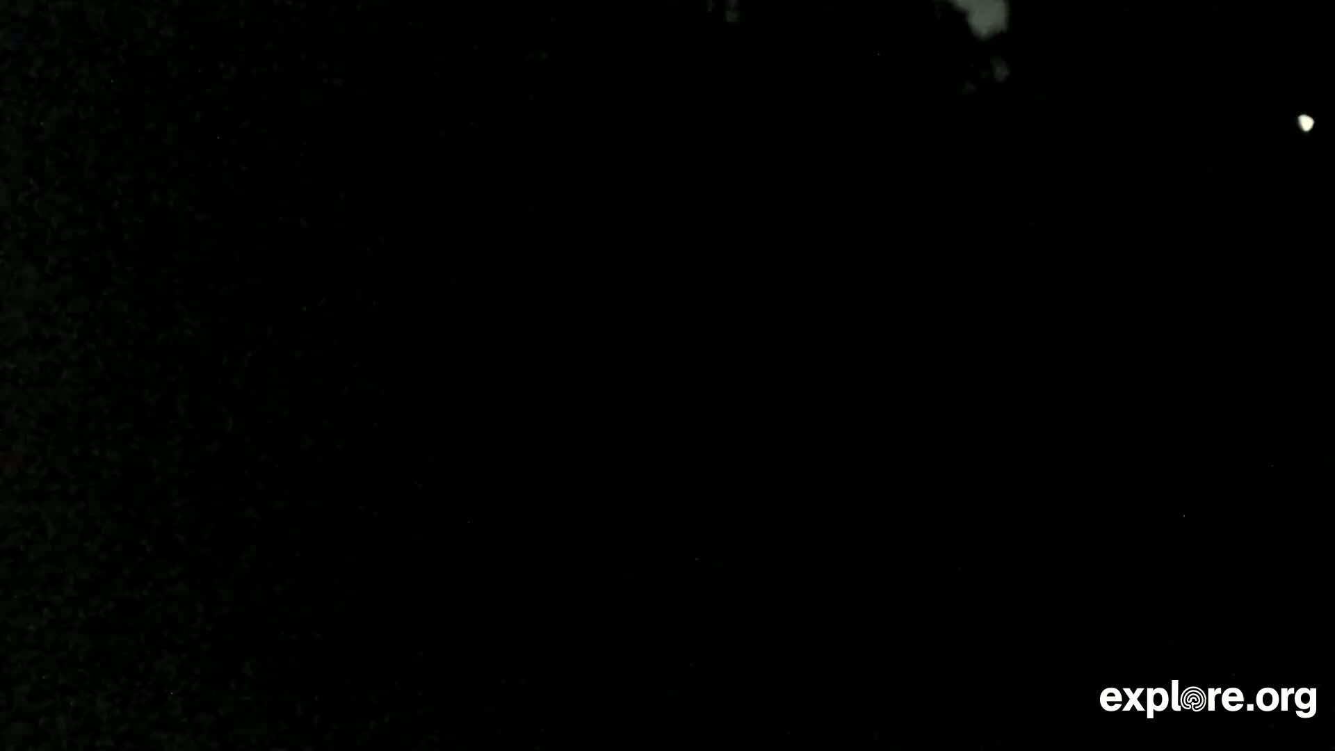 A mostly black image shows a few small bright spots against a dark background.
