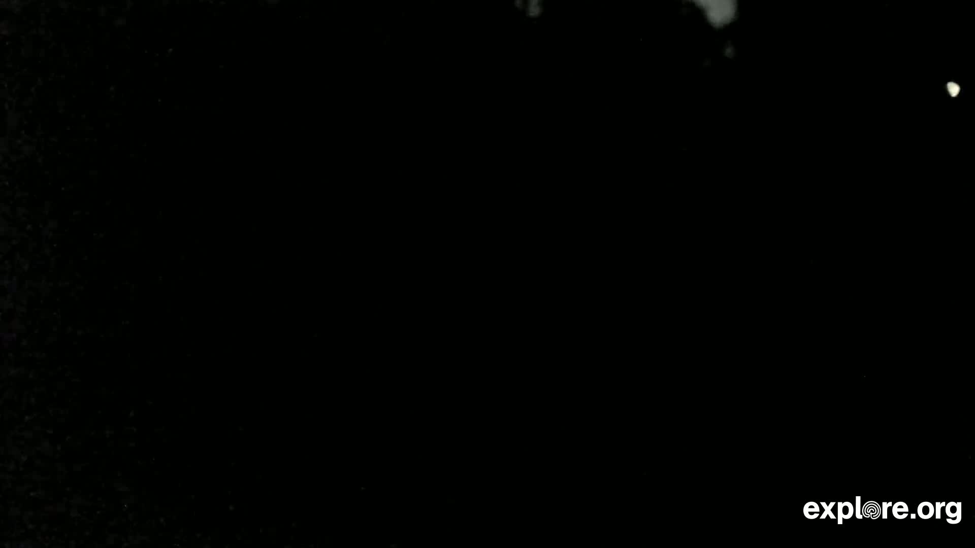 The image is predominantly black with a few faint, indistinct white specks.