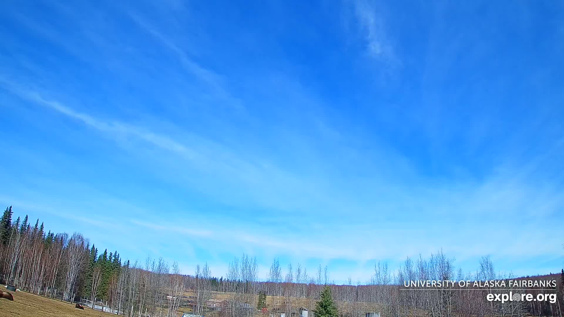 A mostly clear blue sky stretches over a flat, sparsely vegetated landscape with a line of trees in the distance.