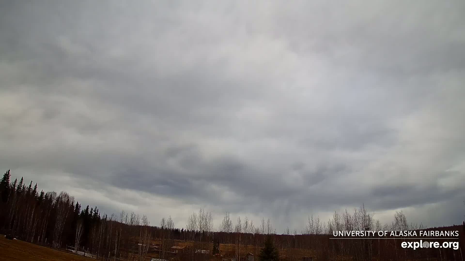 A mostly cloudy sky hangs over a line of bare trees and a flat expanse of land.