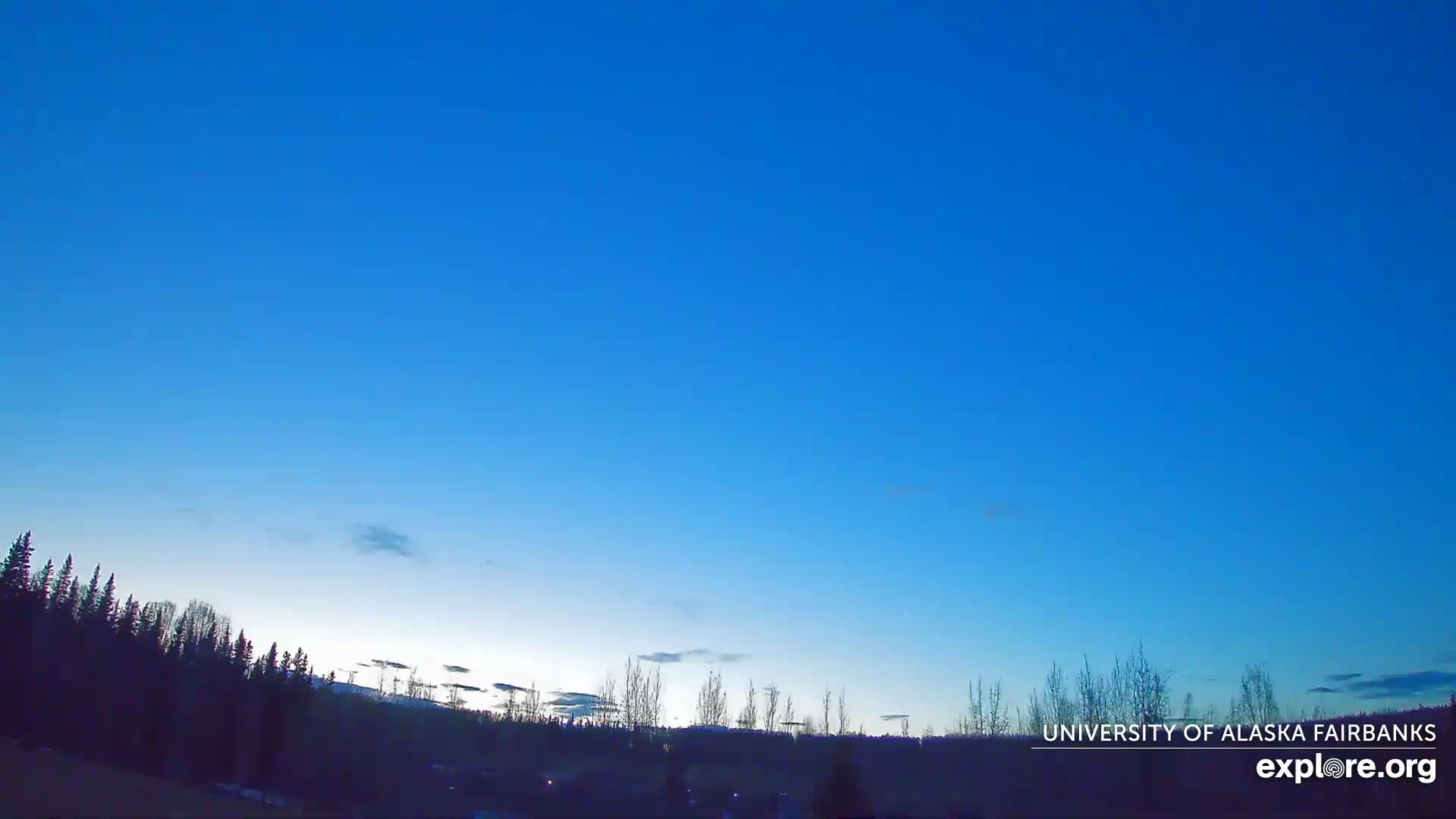 A clear, blue twilight sky hovers over a dark silhouette of trees.