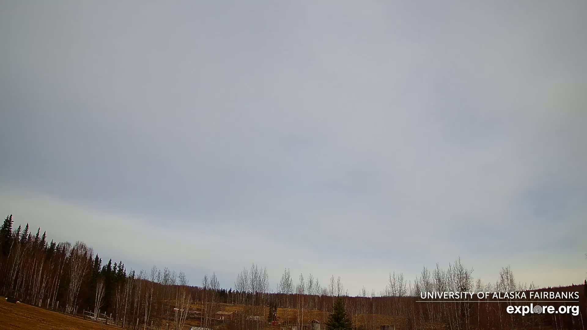 A mostly cloudy sky hangs over a line of barren, leafless trees and a flat expanse of brown earth.