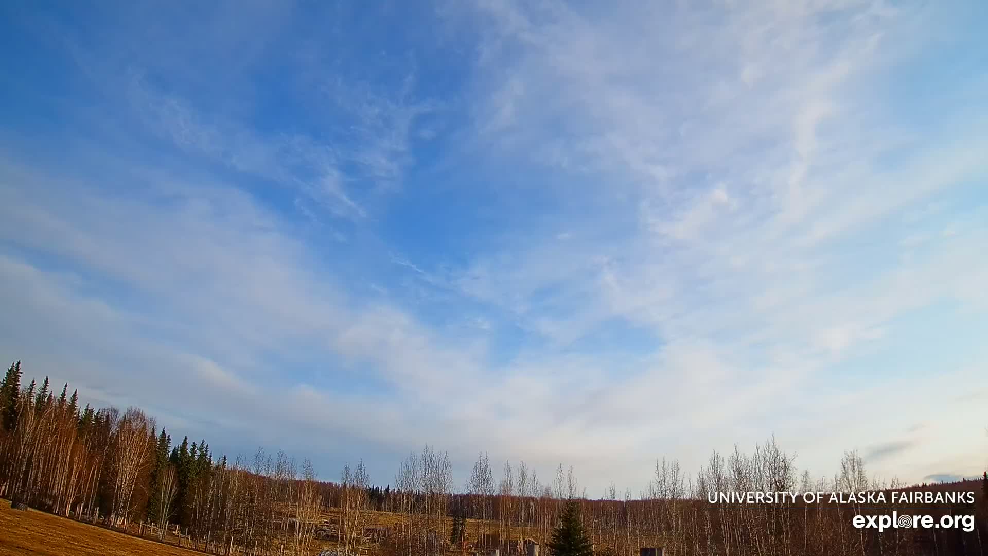 A mostly clear blue sky with thin, wispy clouds stretches over a flat landscape of leafless trees and brown, grassy ground.