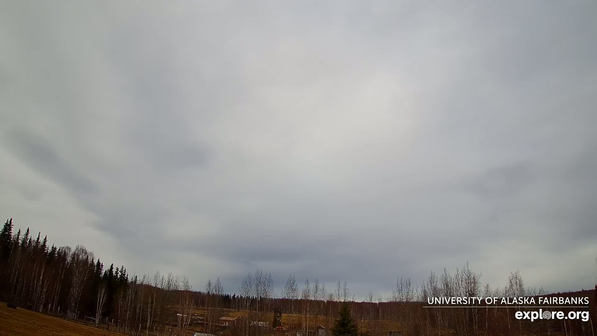 A mostly cloudy sky hangs over a line of leafless trees and a flat, brown field.