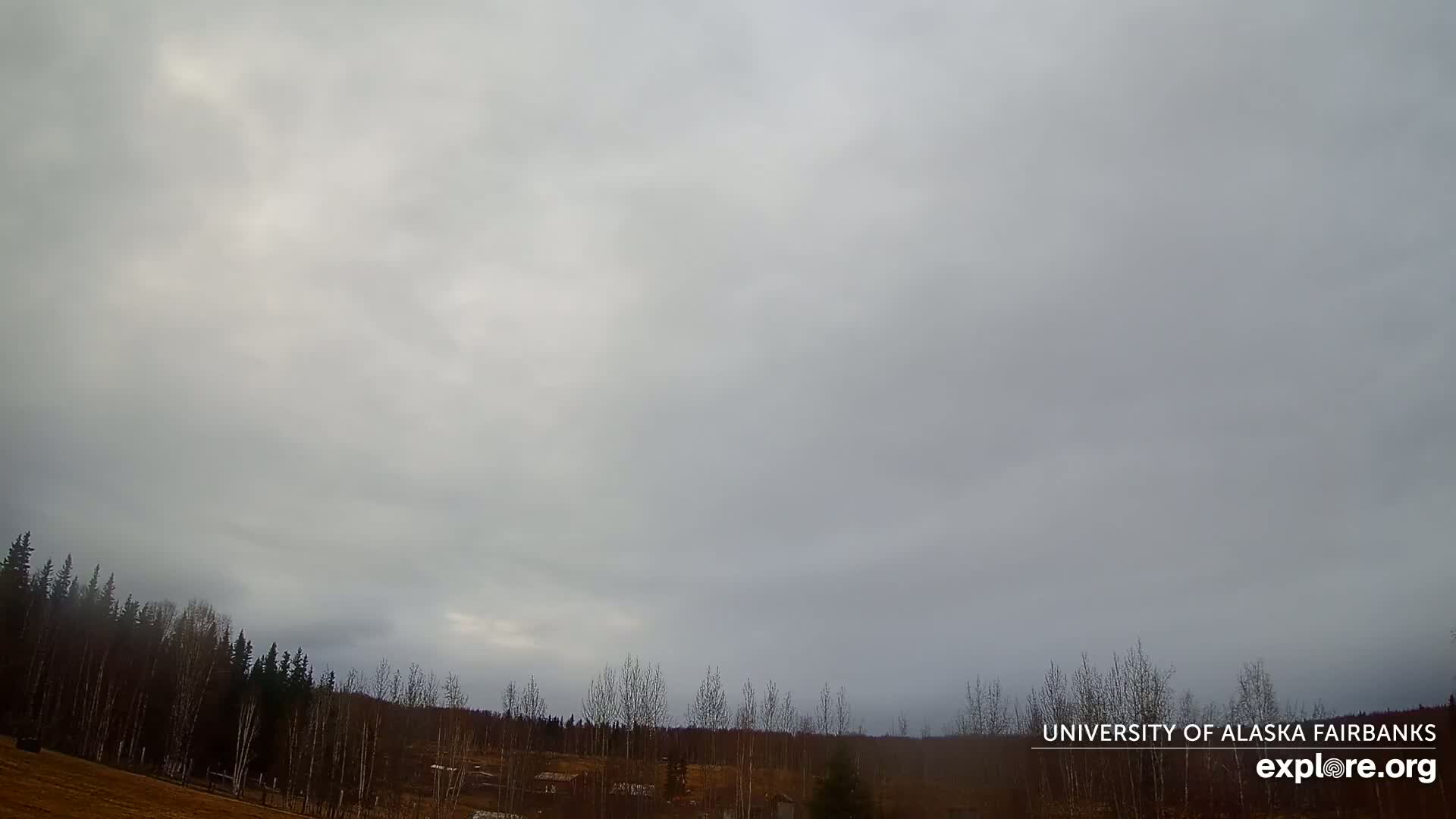 An overcast sky hangs over a sparsely populated landscape of trees and a few buildings.