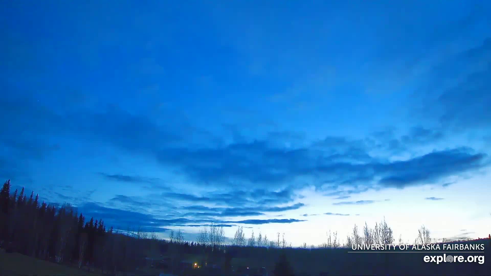 A mostly clear, twilight blue sky with thin clouds over a dark silhouetted treeline.