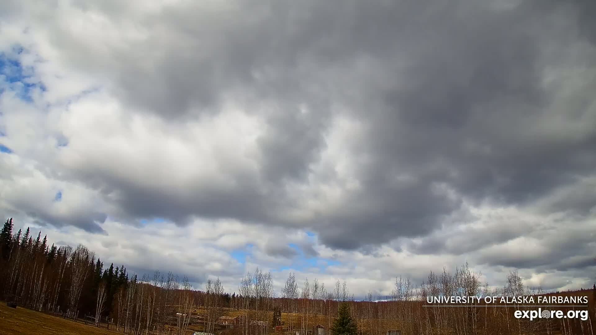 Overcast skies with patchy blue showing through, above a treeline and flat, sparsely vegetated land.