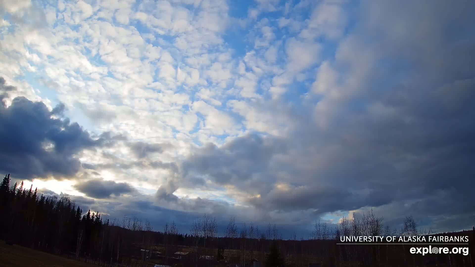 A mostly cloudy sky with varying shades of blue and gray above a line of dark, leafless trees.