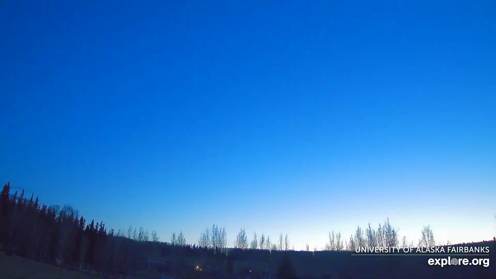 A clear, twilight blue sky is visible above a dark silhouetted line of trees.