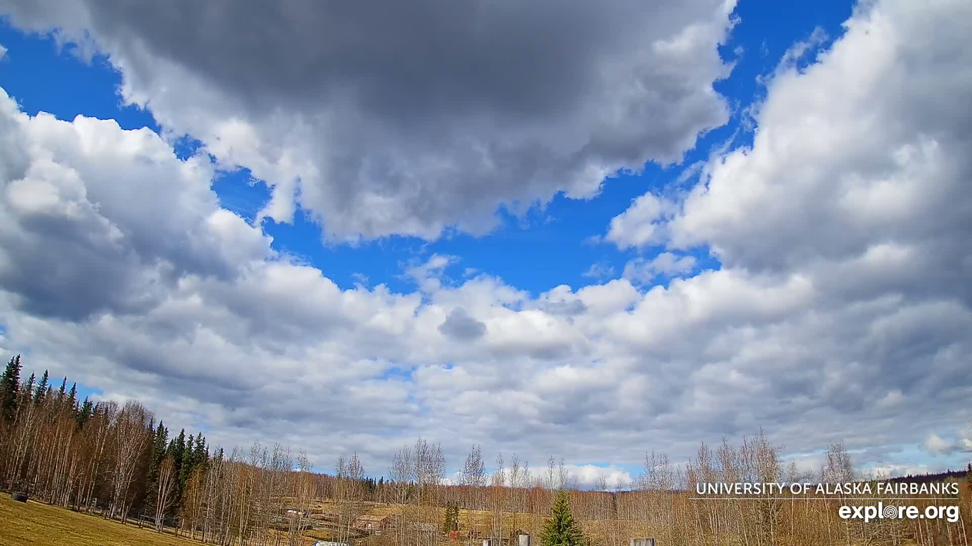 A mostly cloudy sky with patches of blue is over a flat landscape of leafless trees and a grassy field.