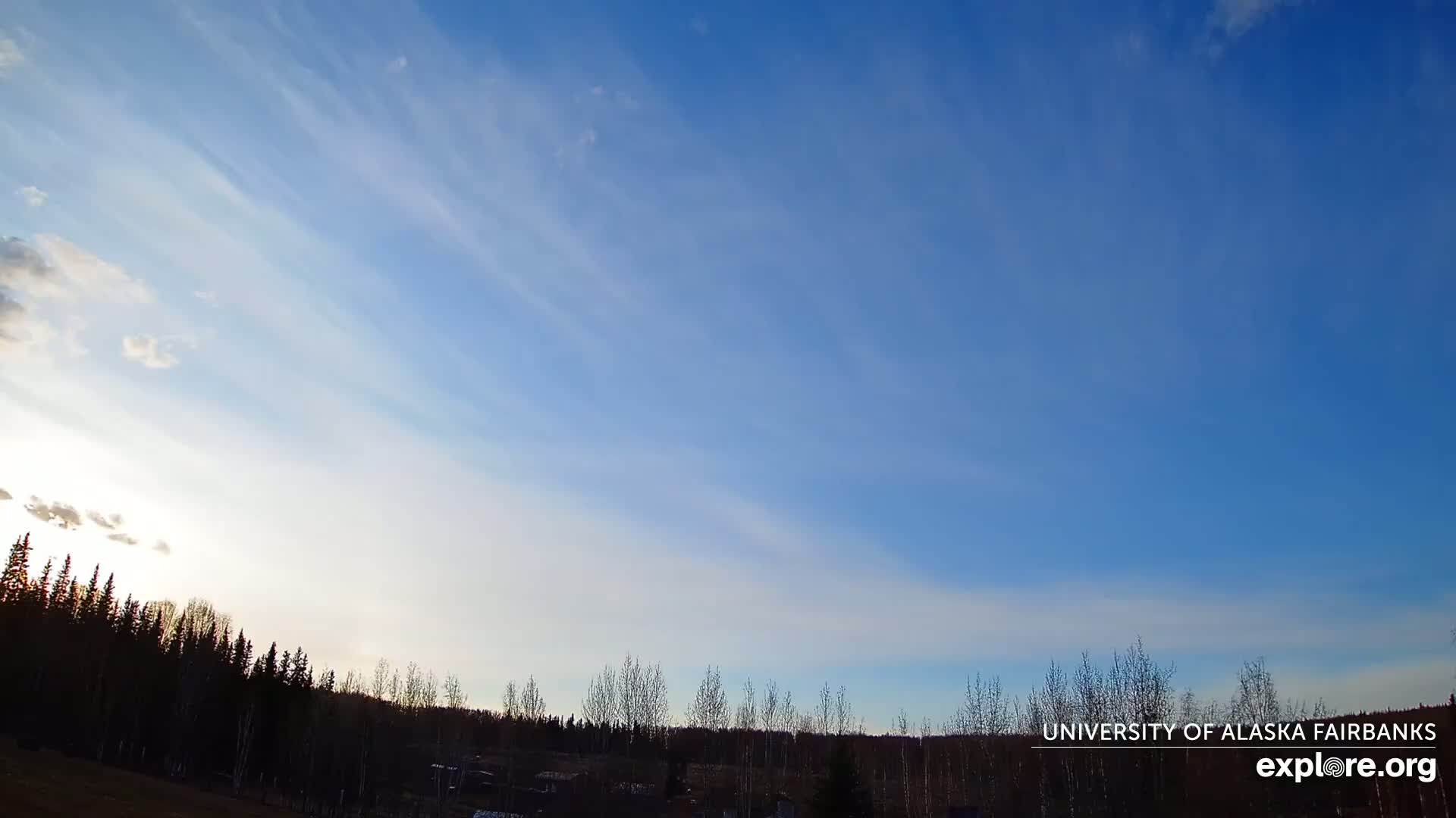 A mostly clear, light blue sky with thin, wispy clouds stretches over a dark line of trees at the horizon.