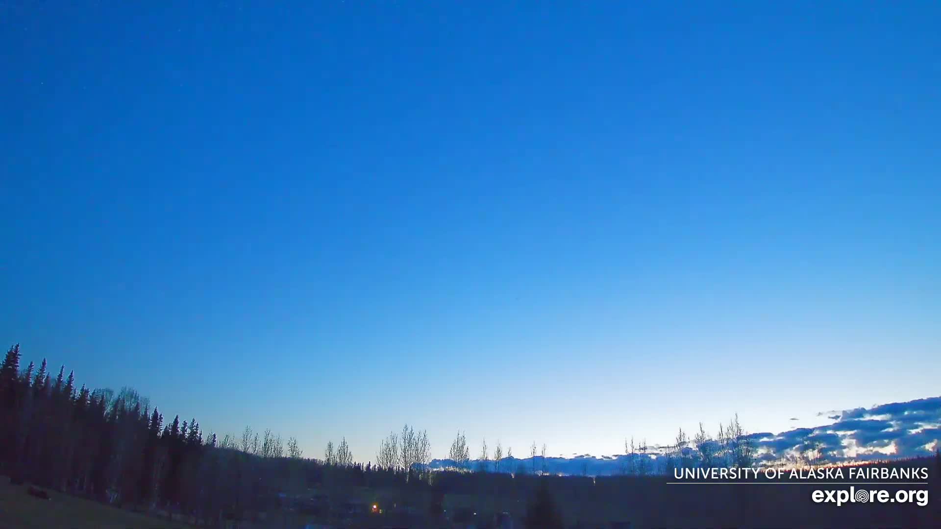 A mostly clear, twilight sky over a dark line of trees and a flat horizon.