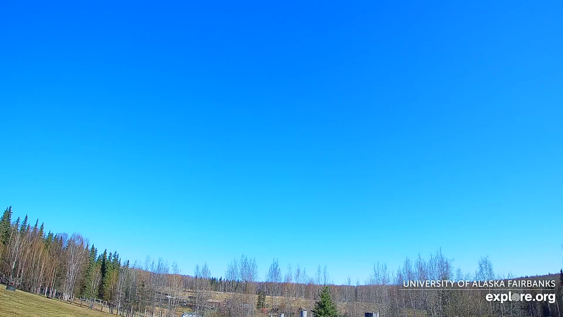 Under a clear blue sky, a line of trees sits atop a grassy field, with more trees and a few structures visible in the distance.