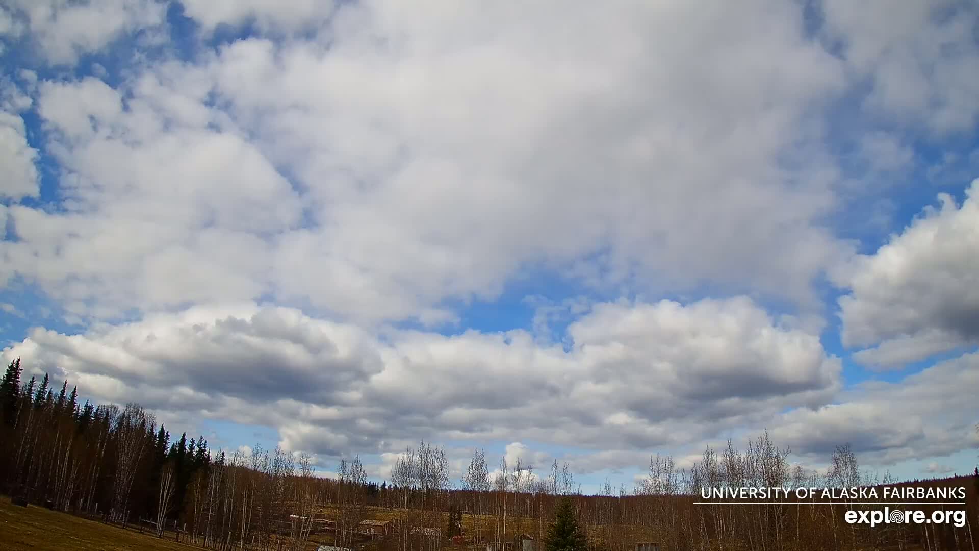 A partly cloudy sky over a line of trees and a flat field.