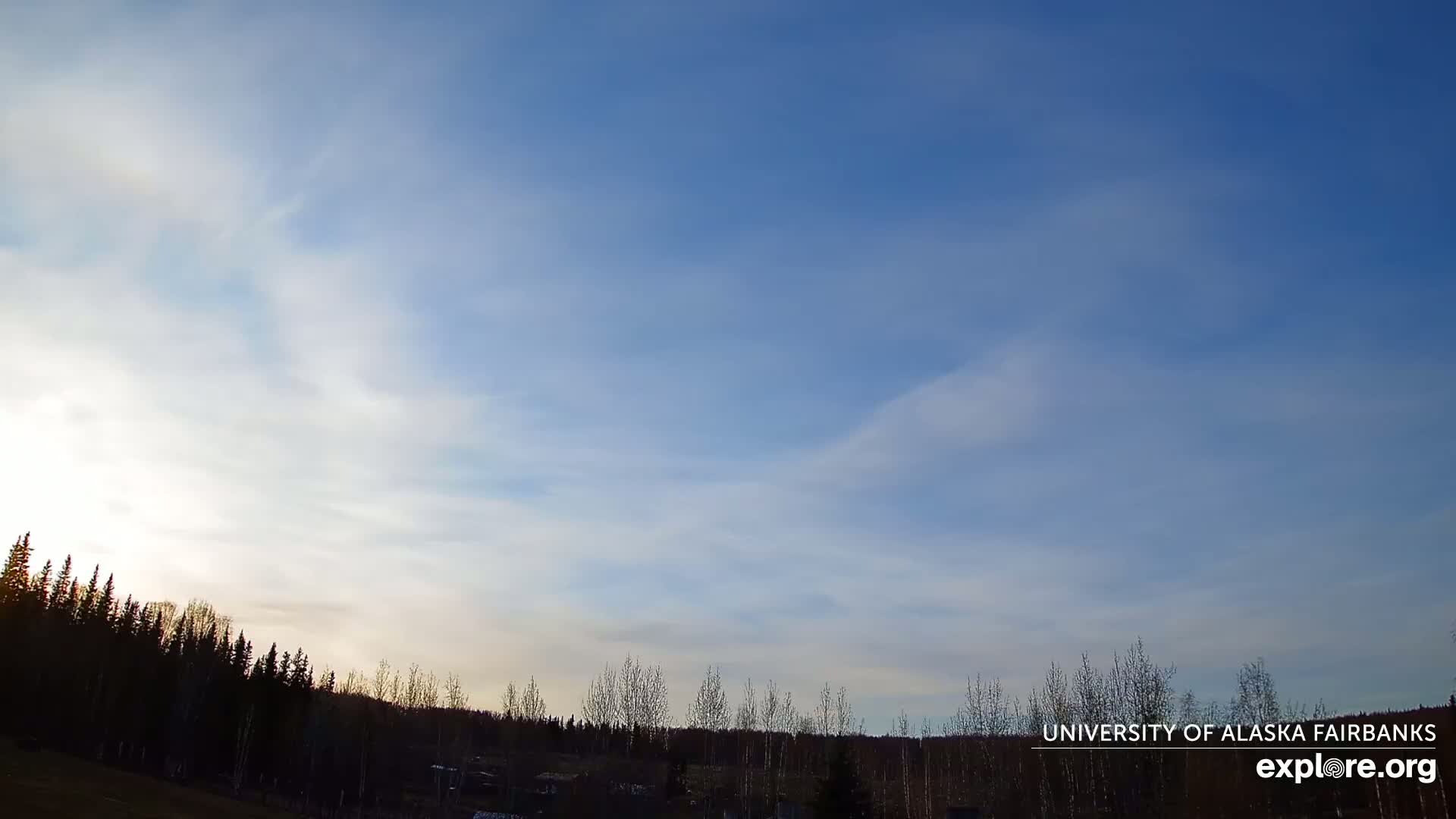 A mostly clear, light blue sky with thin, wispy clouds hangs over a silhouetted line of trees.