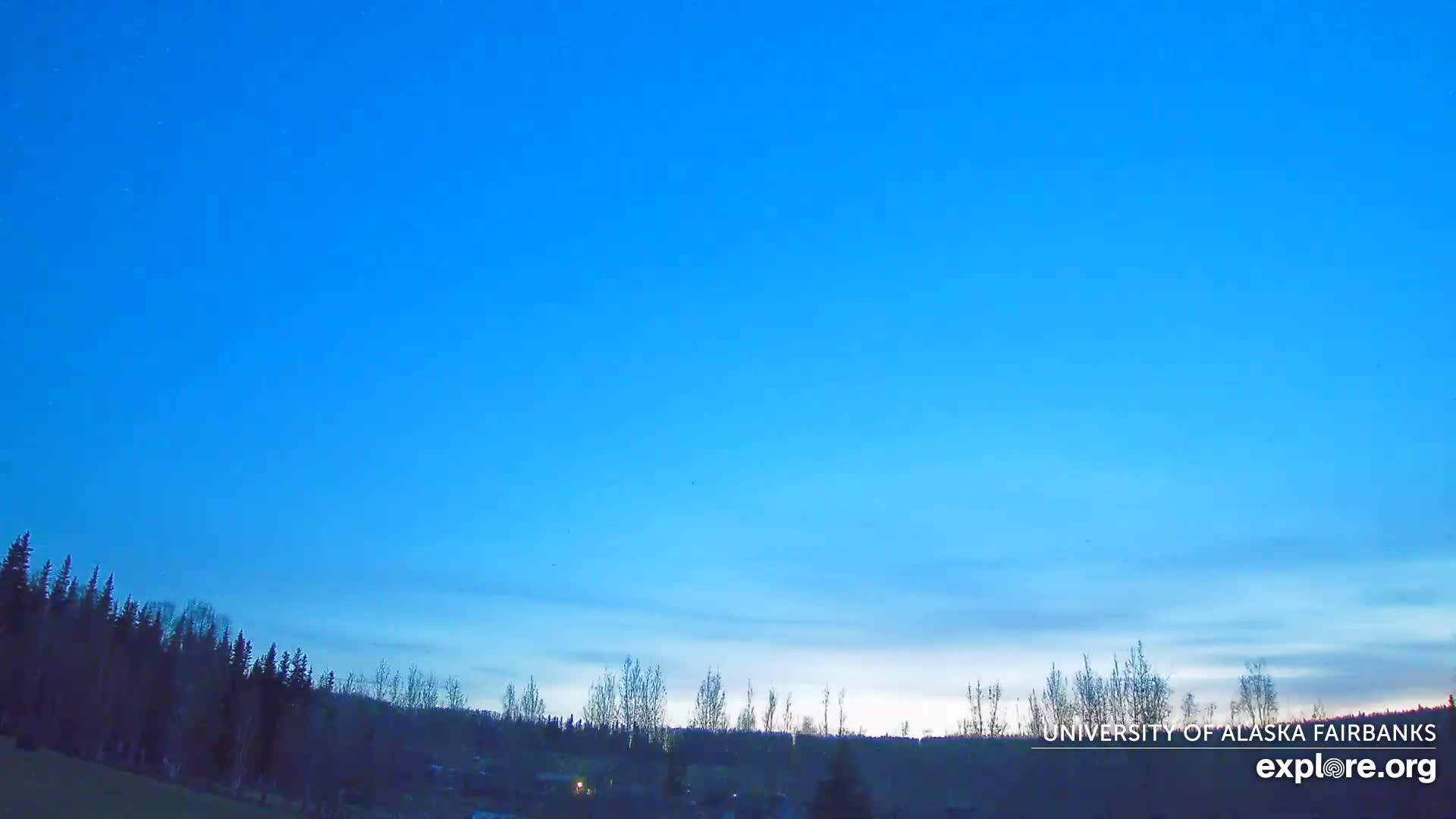 A clear, twilight blue sky above a dark line of trees.