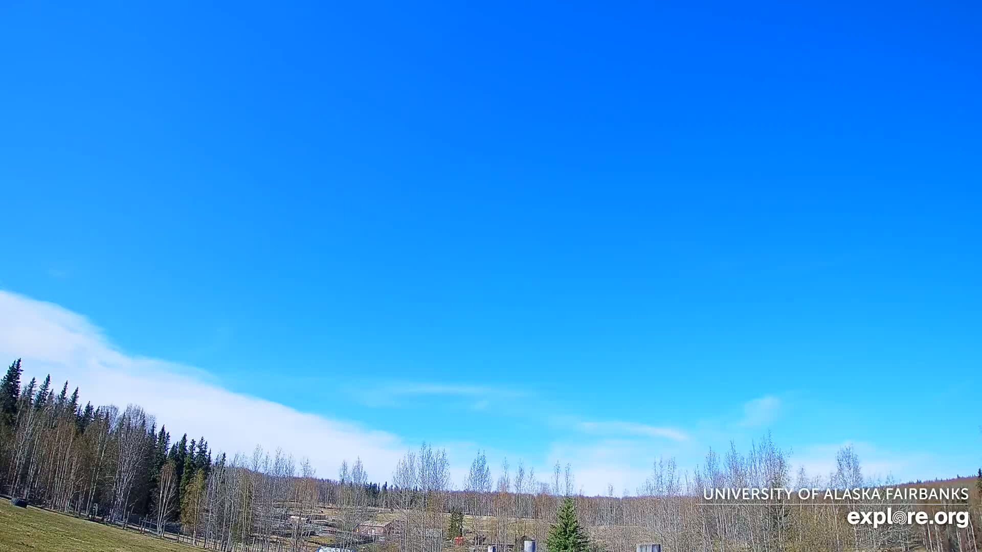 A mostly clear, bright blue sky with a thin line of clouds near the horizon overlooks a sparsely treed landscape.