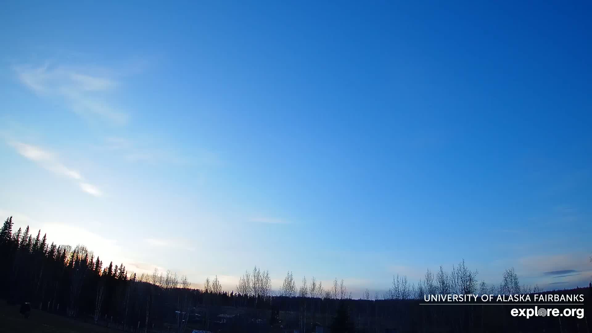 A mostly clear, blue sky with a few wispy clouds above a dark treeline at sunset.