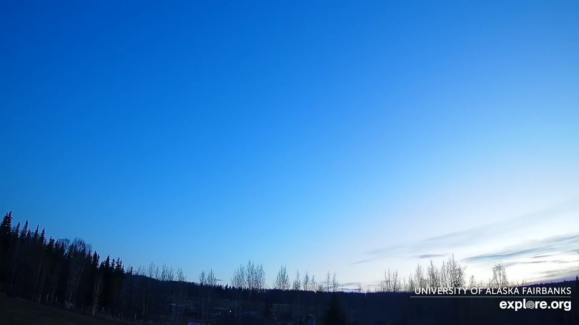 A mostly clear, twilight sky above a dark line of trees.