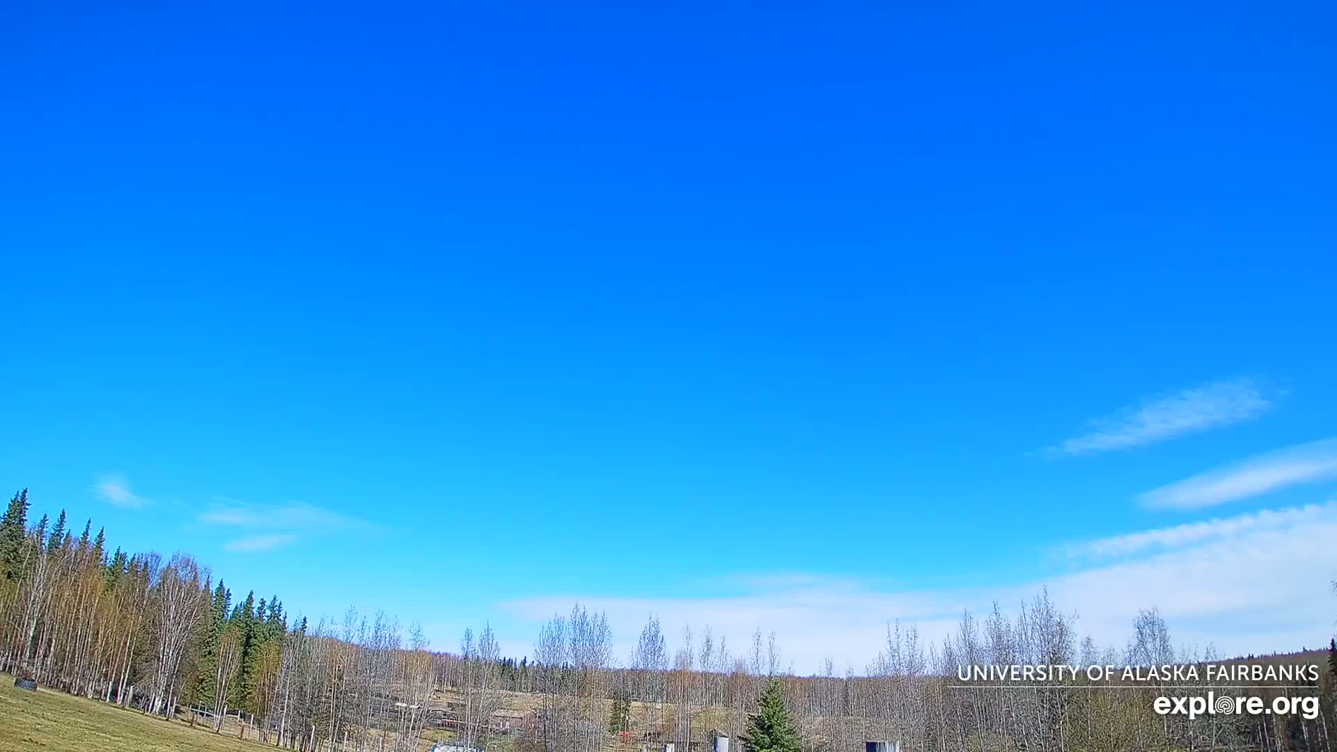 A mostly clear blue sky overlooks a flat expanse of land with a line of mostly bare deciduous trees and some evergreens.