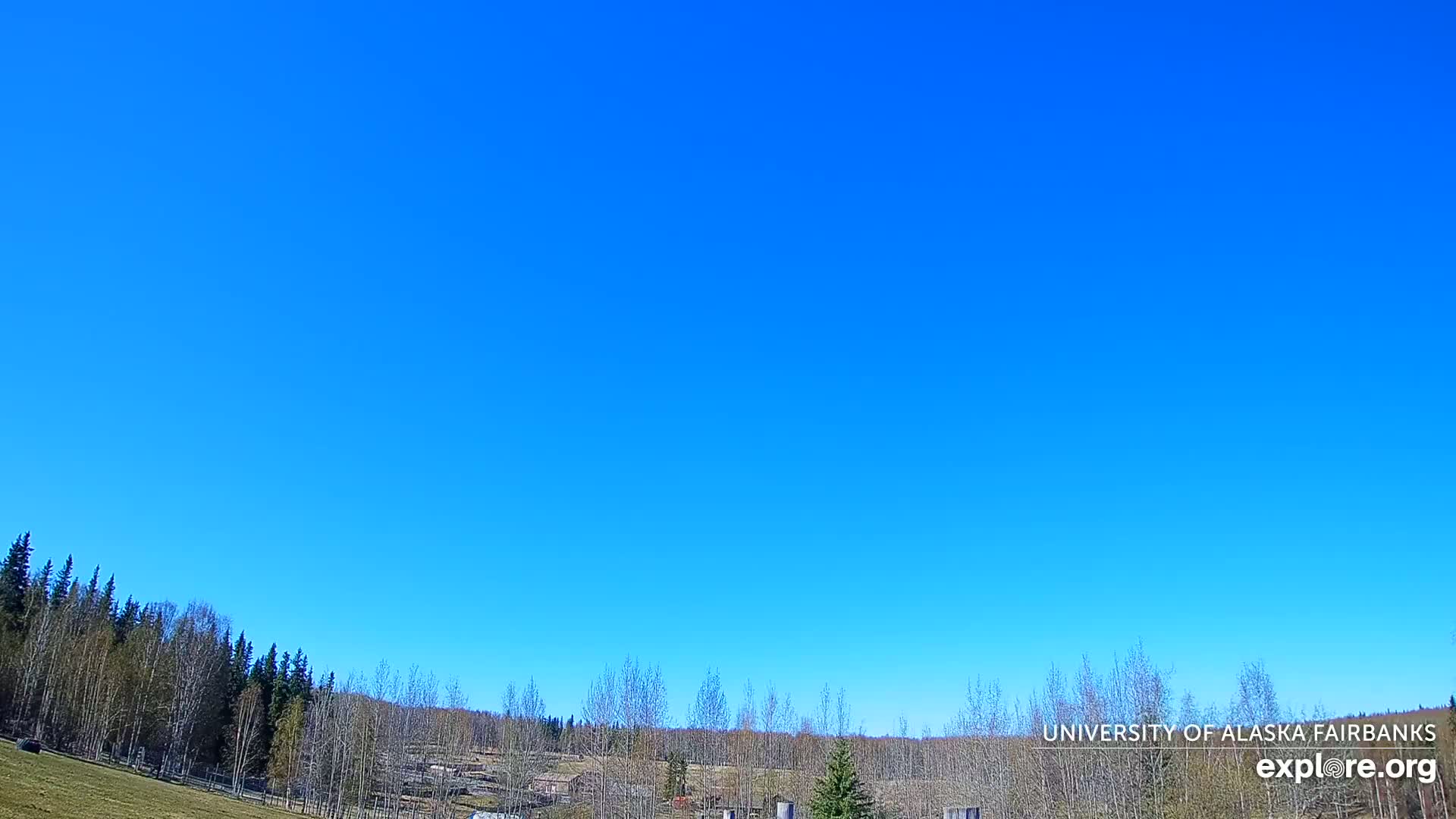 Under a clear blue sky, a grassy field slopes gently upward to a line of deciduous trees.