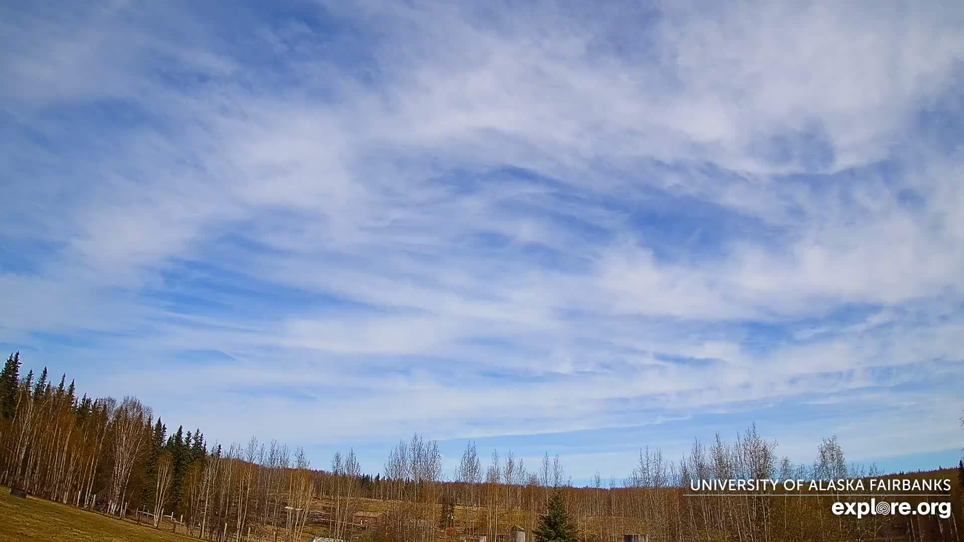 A mostly clear blue sky with thin, wispy clouds stretches over a line of leafless trees and a flat, grassy field.
