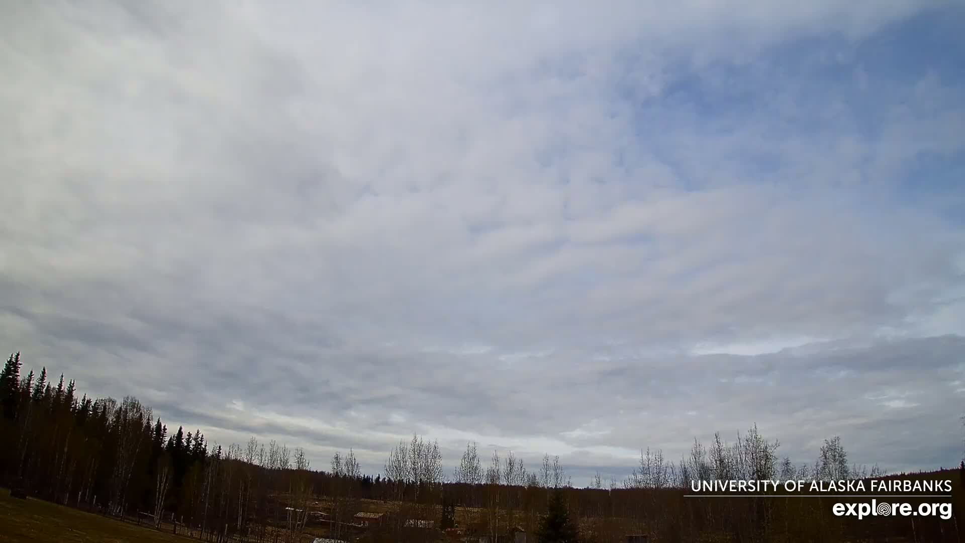 A mostly cloudy sky hangs over a flat expanse of sparsely wooded land.