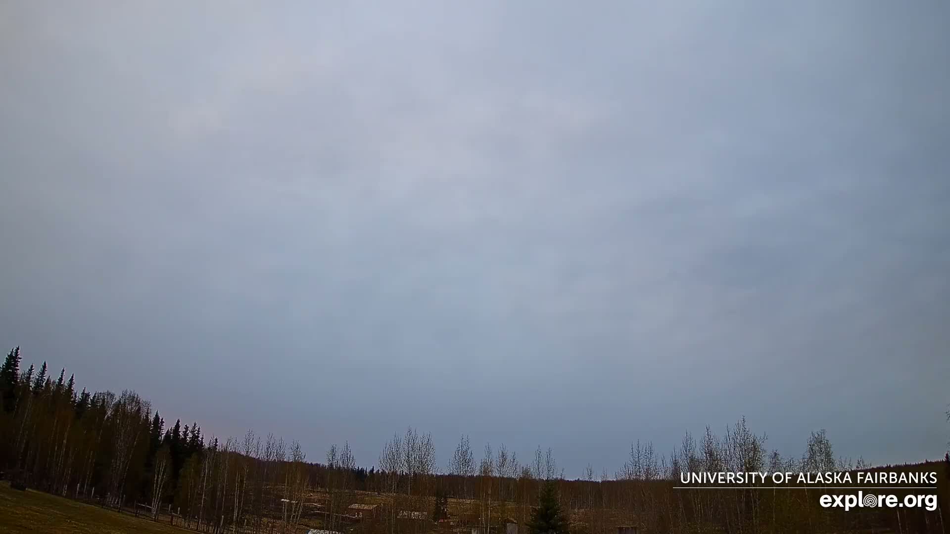 University of Alaska, Fairbanks North Star Northern Lights / Aurora Borealis / Stars View Live Cam - Faibanks, Fairbanks North Star, Alaska, USA
