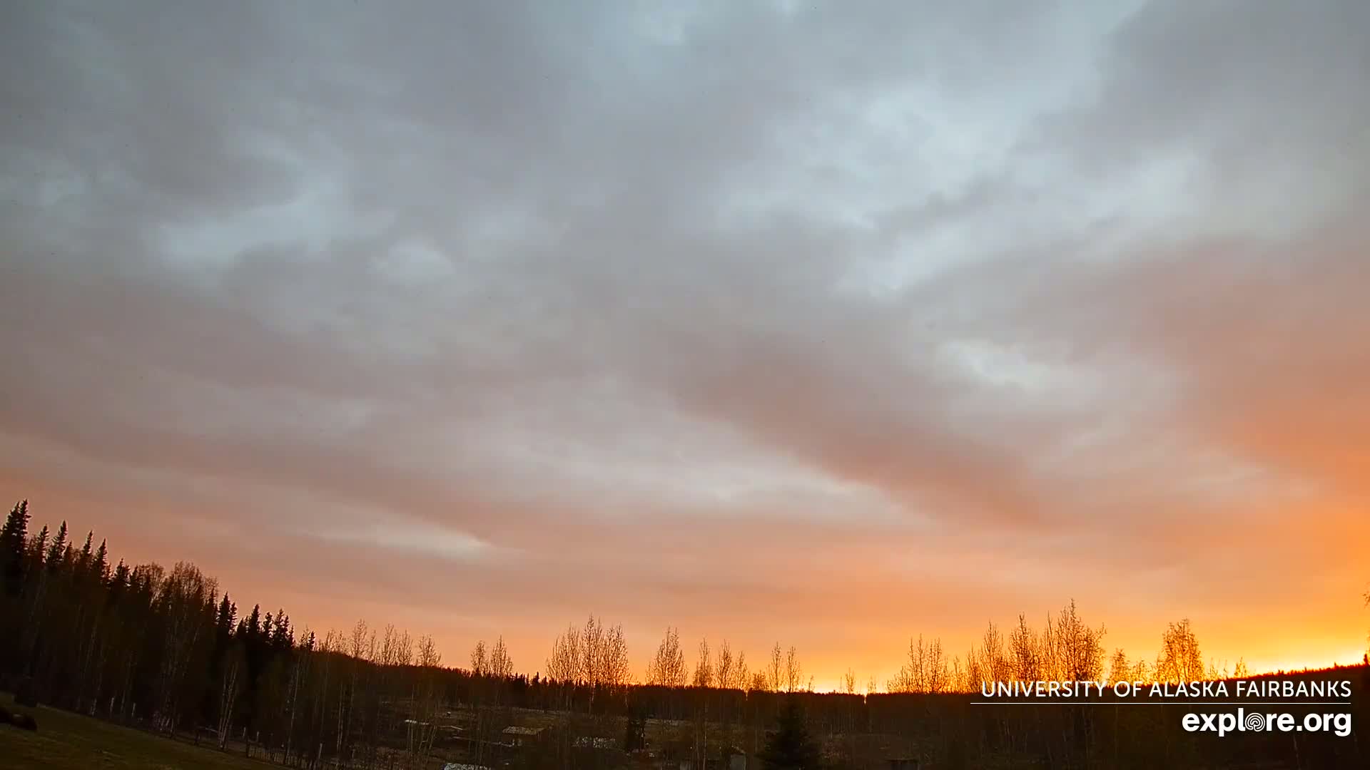 A partly cloudy sunset with orange hues illuminates a line of trees and a flat landscape.