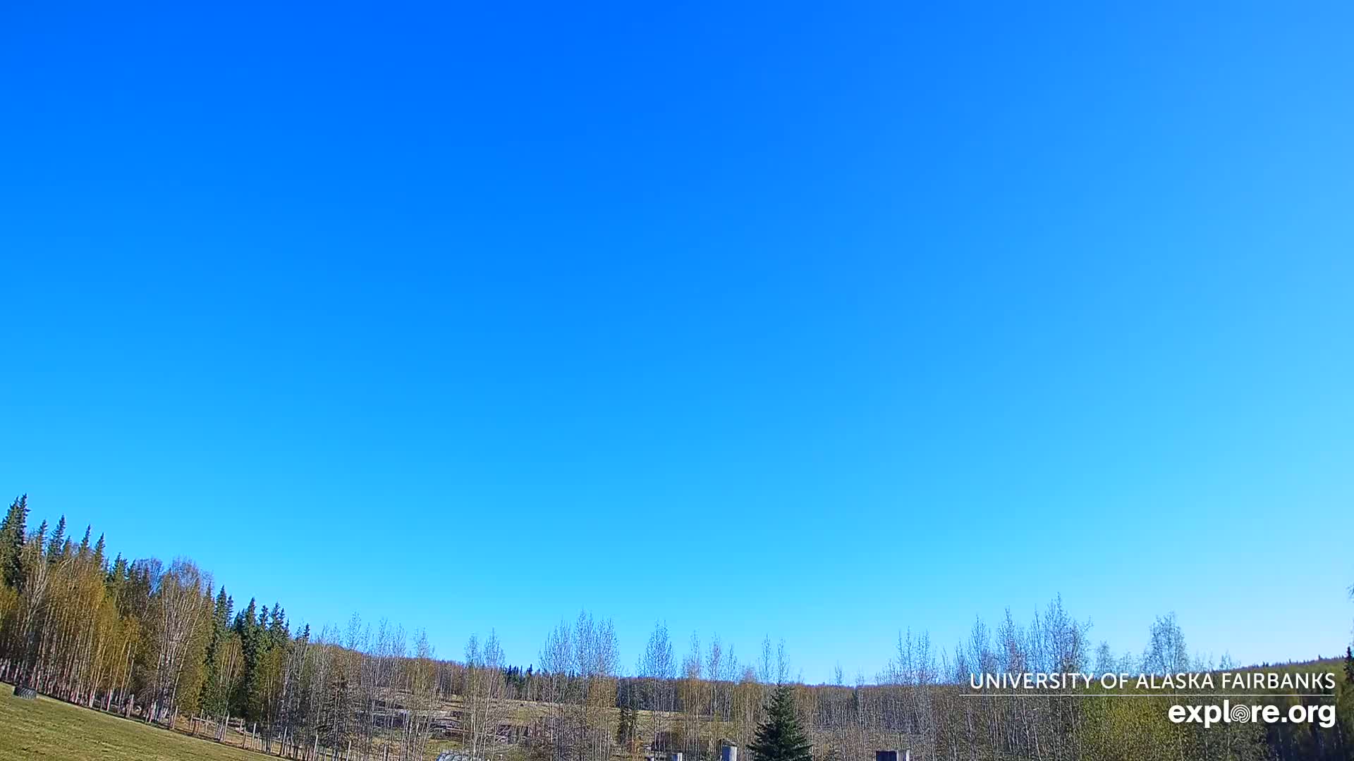 A mostly clear blue sky is over a grassy area with a line of trees in the background.