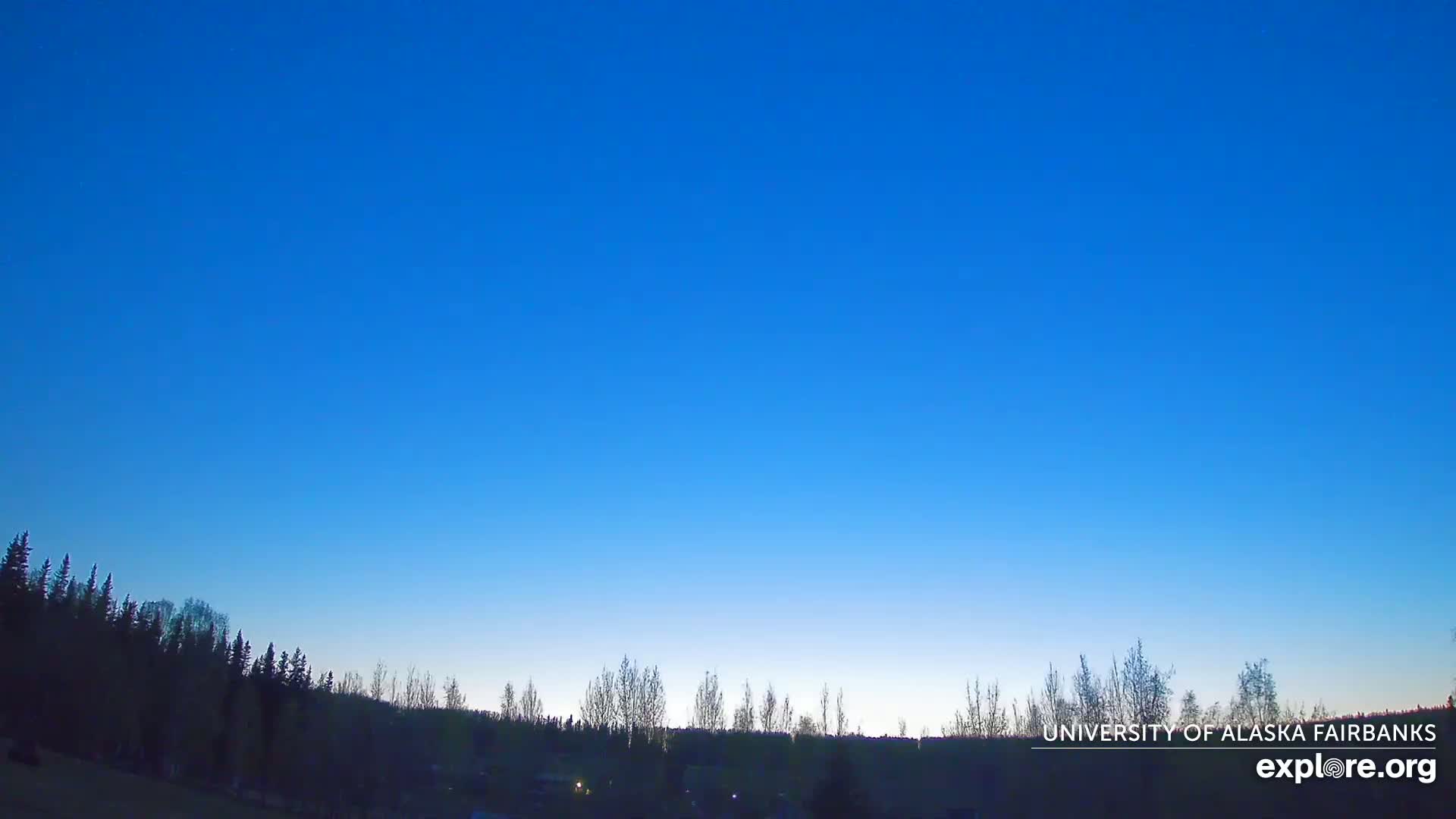 A clear blue sky with a faint light horizon illuminates a dark silhouette of a treeline.