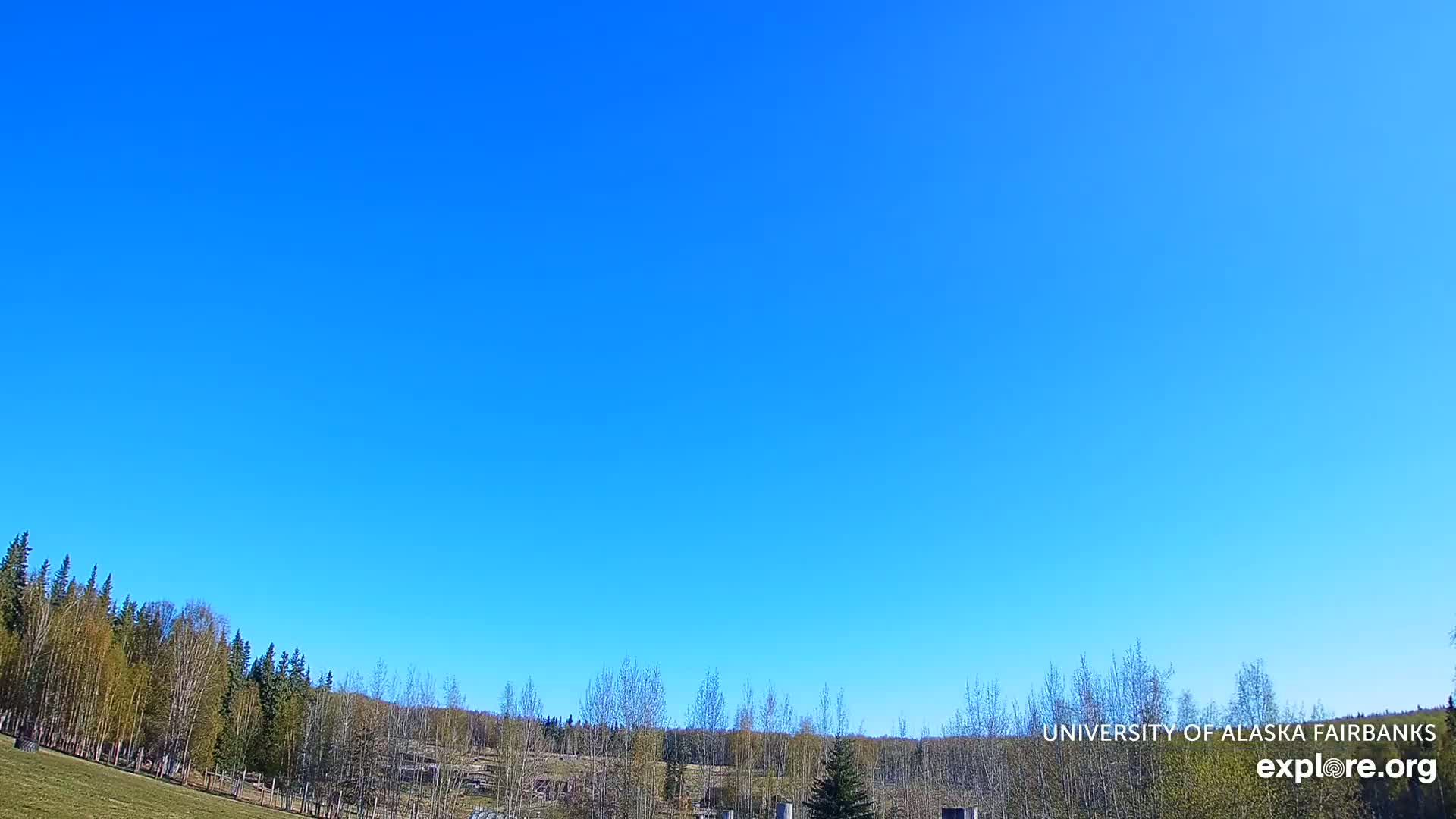A clear blue sky is over a flat grassy area with a line of trees in the background.