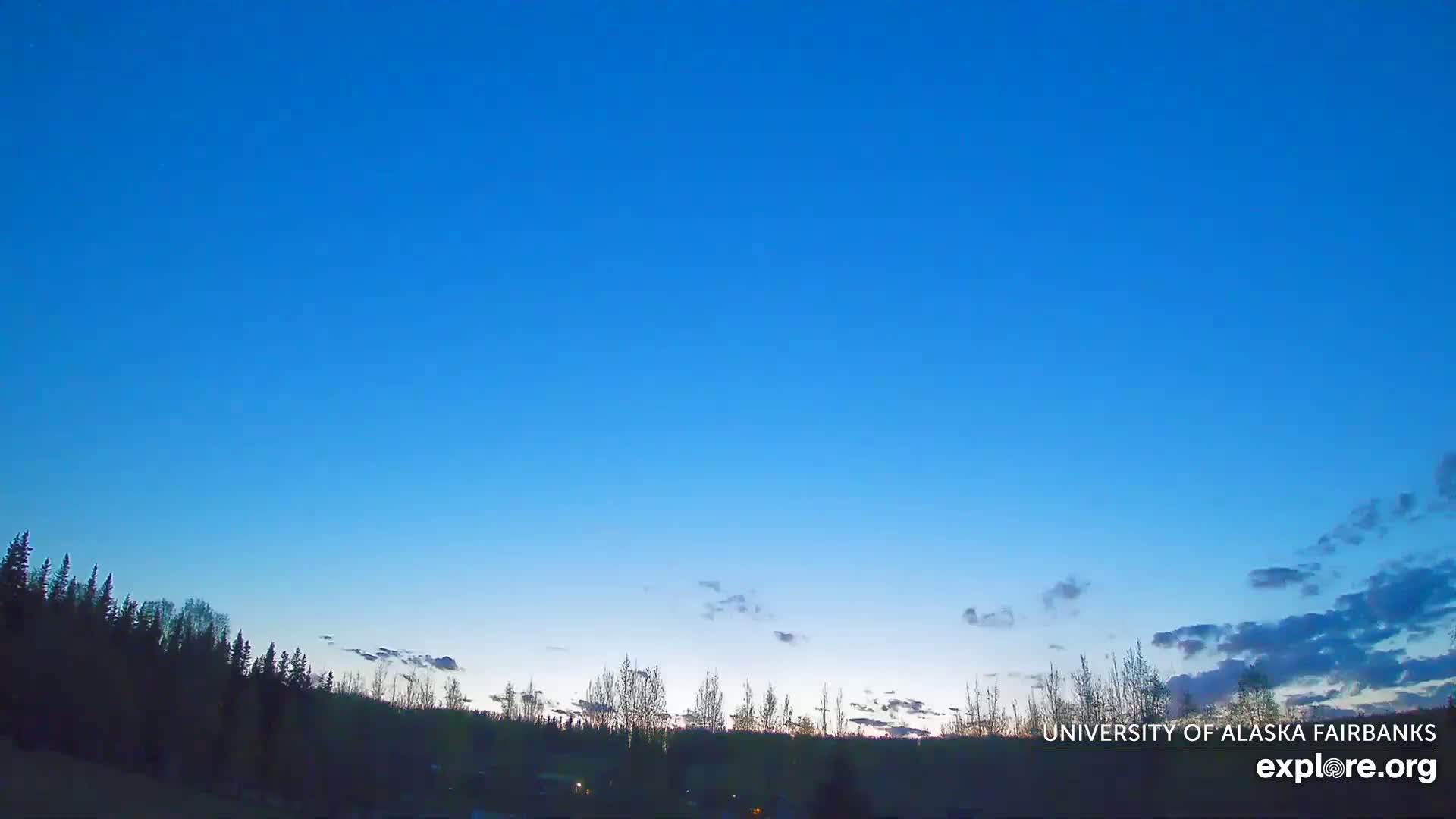 A mostly clear, twilight sky is visible above a dark silhouetted line of trees.