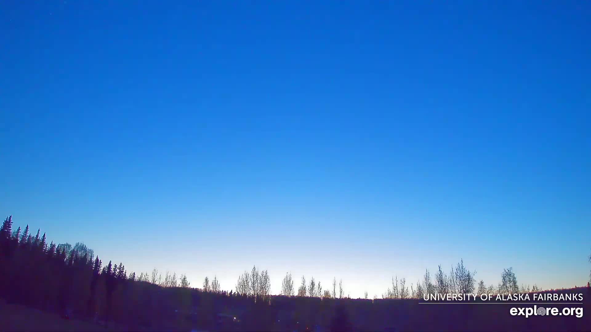 A clear, twilight sky above a dark silhouette of a tree line.