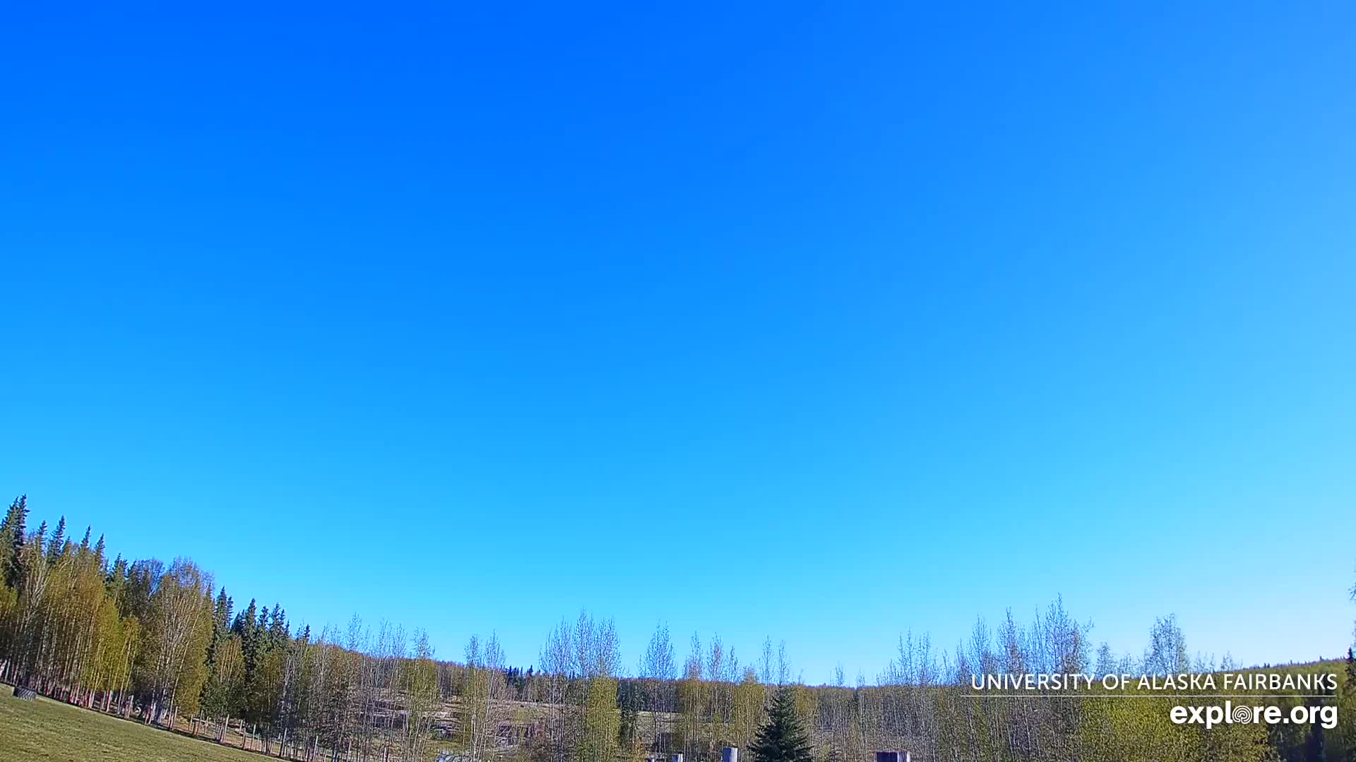 A clear blue sky is above a line of trees and grassy area.