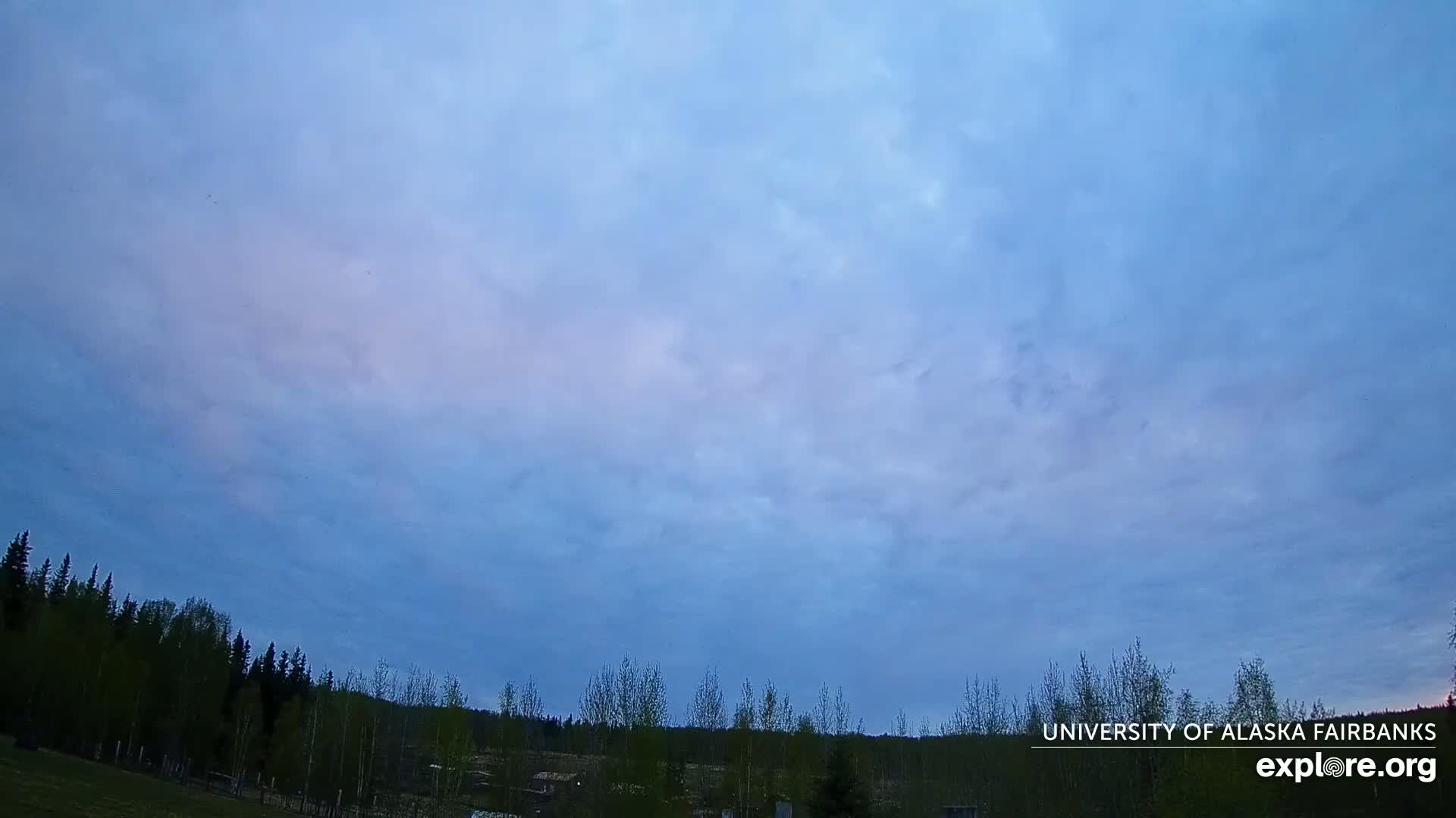 A mostly cloudy twilight sky over a dark line of trees.