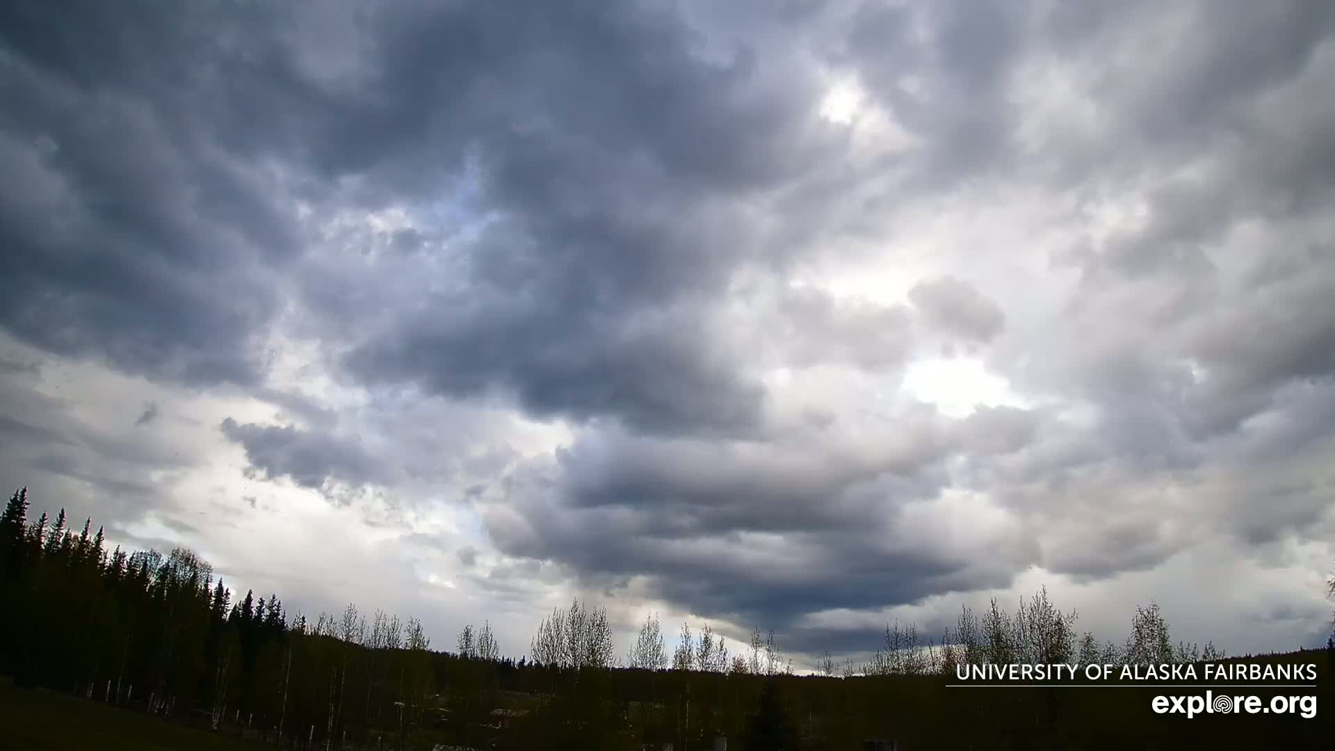 University of Alaska, Fairbanks North Star Northern Lights / Aurora Borealis / Stars View Live Cam - Faibanks, Fairbanks North Star, Alaska, USA
